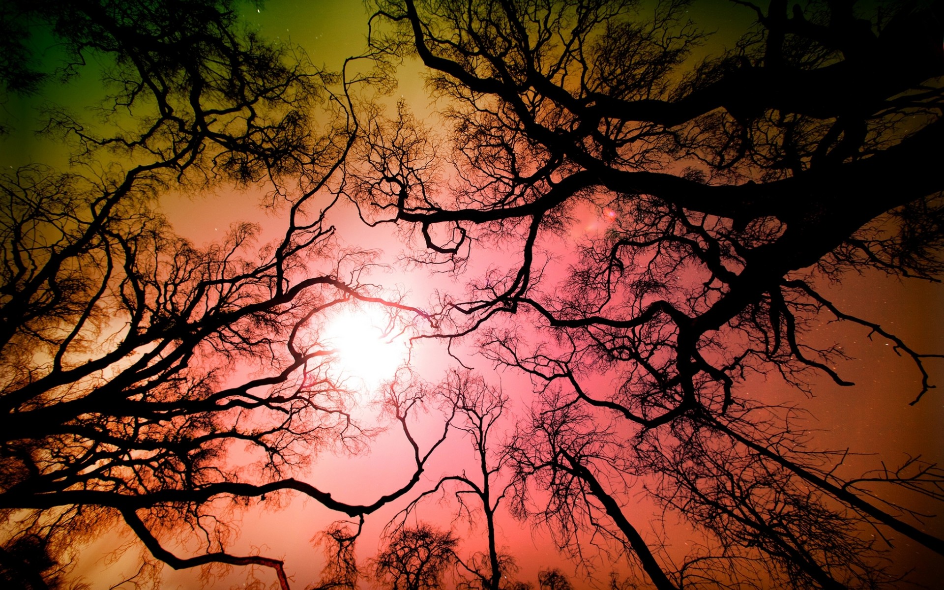 Free download wallpaper Trees, Sunset, Sky, Silhouette, Tree, Earth on your PC desktop