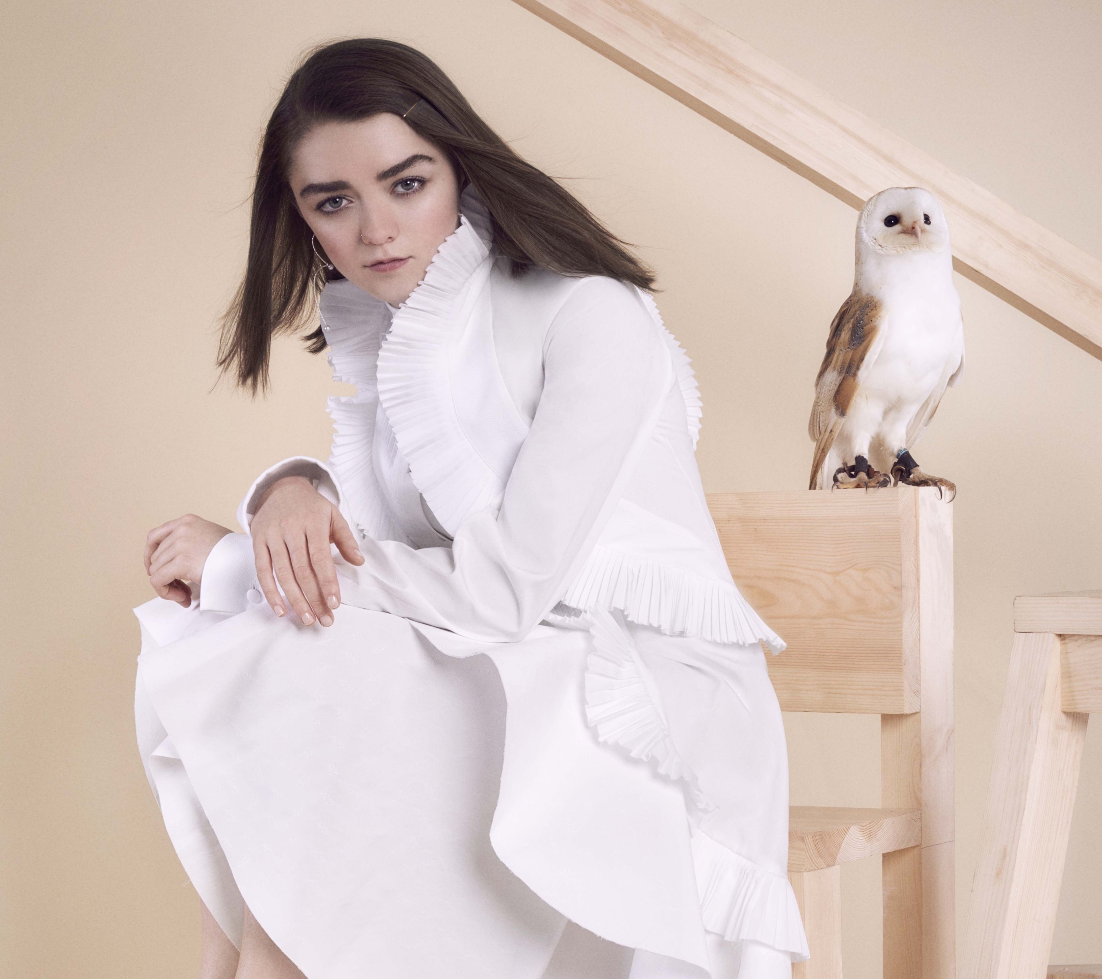 Baixar papel de parede para celular de Coruja, Celebridade, Maisie Williams gratuito.