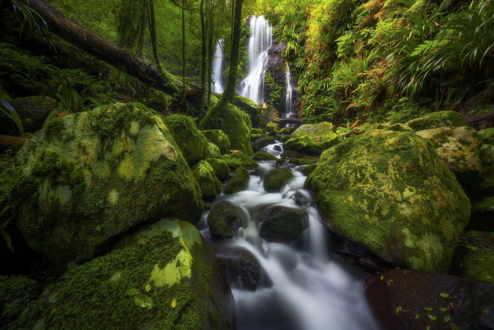 Laden Sie das Natur, Wasserfall, Moos, Strom, Australien, Erde/natur-Bild kostenlos auf Ihren PC-Desktop herunter