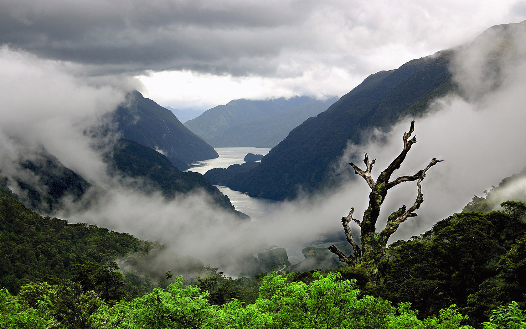 Descarga gratis la imagen Naturaleza, Montaña, Lago, Árbol, Niebla, Nube, Pintoresco, Tierra/naturaleza en el escritorio de tu PC
