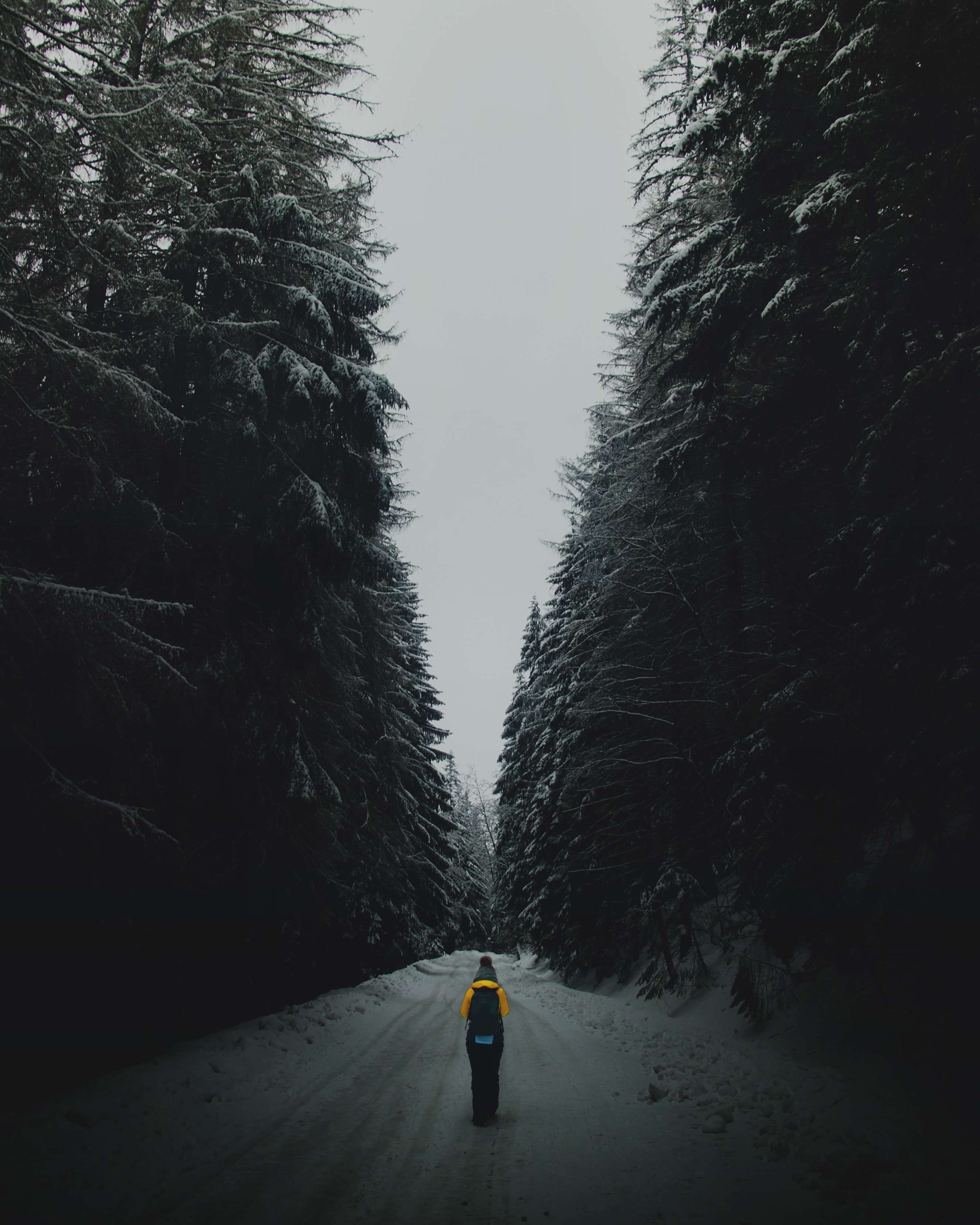 Free download wallpaper Winter, Twilight, Snow, Silhouette, Road, Forest, Dusk, Nature on your PC desktop