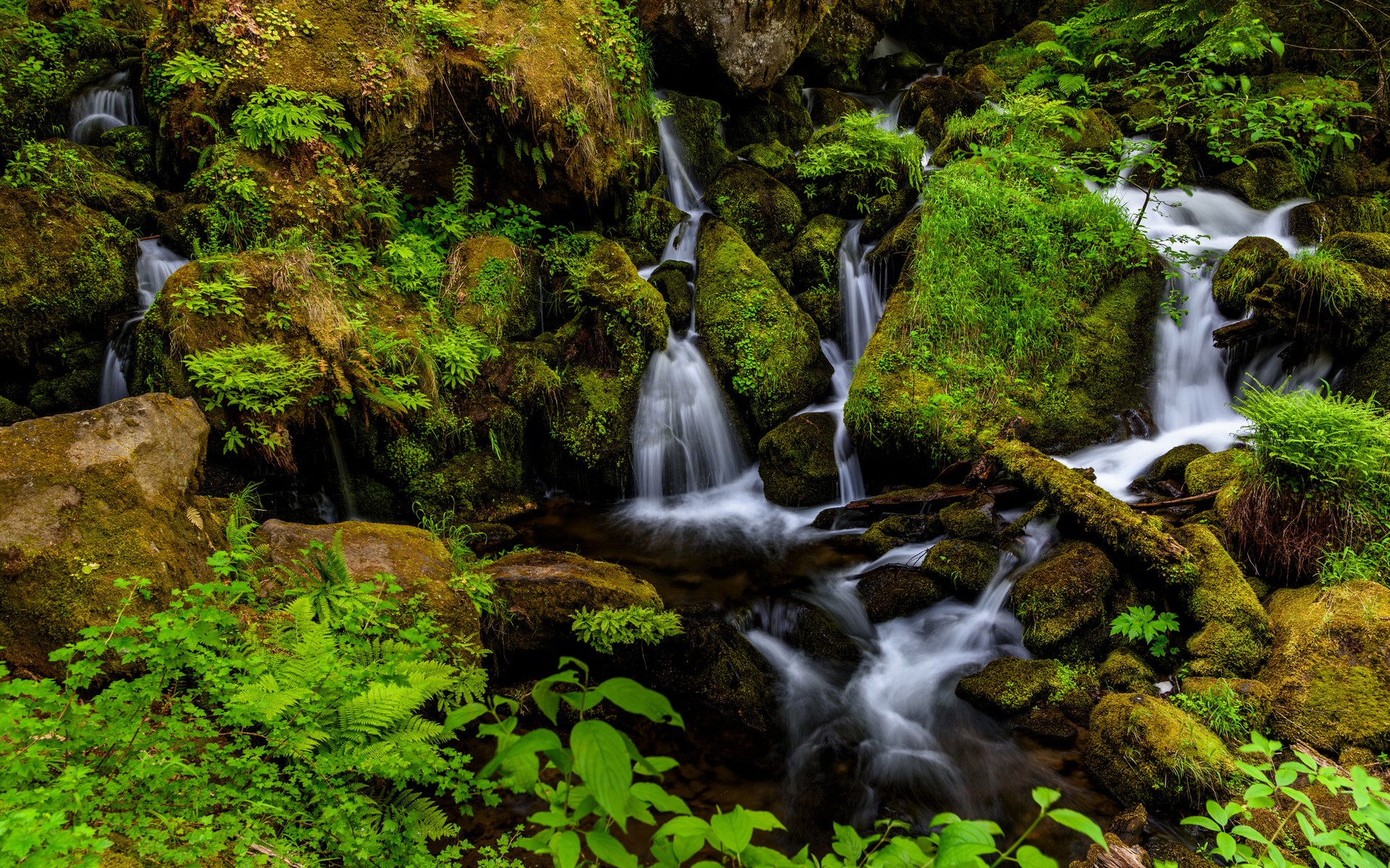 Download mobile wallpaper Waterfalls, Waterfall, Leaf, Earth, Moss for free.