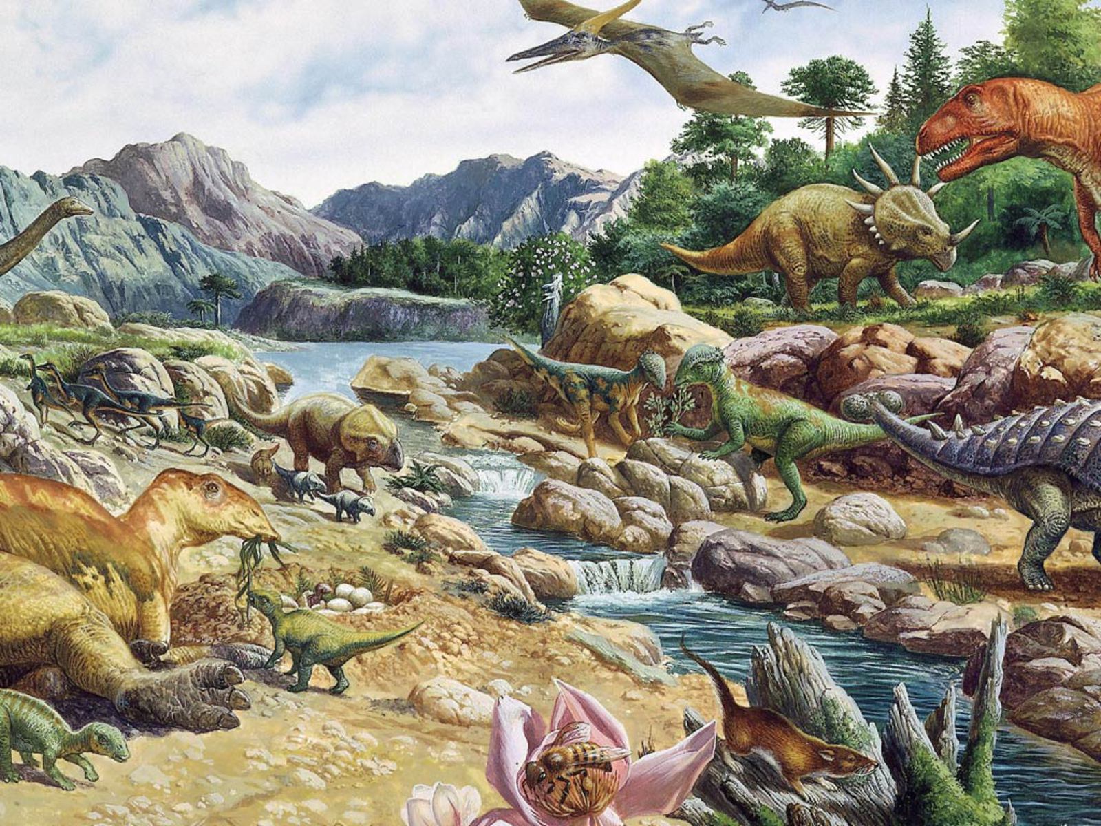 Laden Sie das Tiere, Dinosaurier-Bild kostenlos auf Ihren PC-Desktop herunter