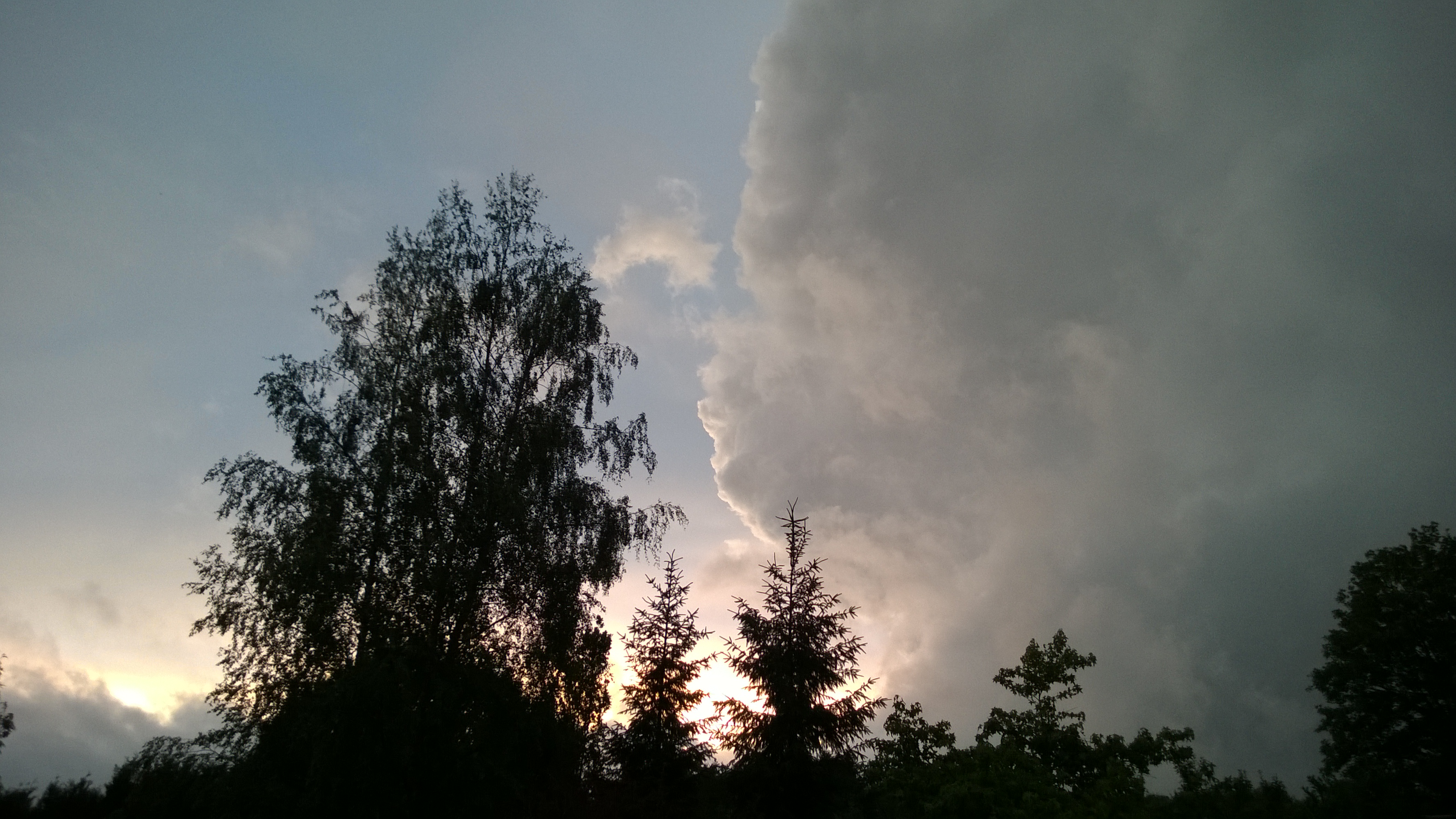 Handy-Wallpaper Baum, Wolke, Himmel, Erde/natur kostenlos herunterladen.