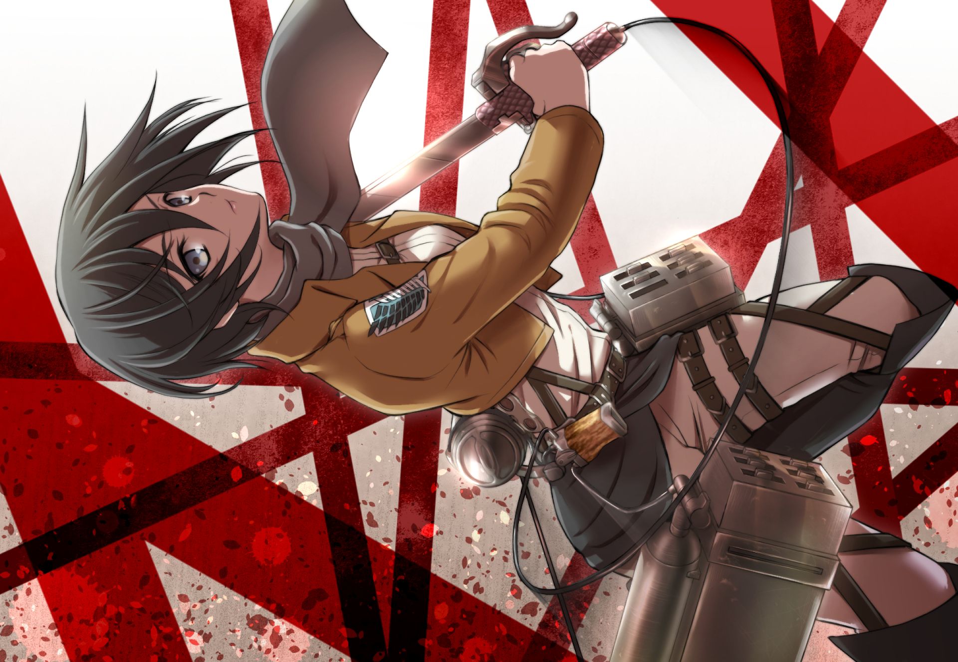 Baixe gratuitamente a imagem Anime, Mikasa Ackerman, Shingeki No Kyojin, Ataque Dos Titãs na área de trabalho do seu PC