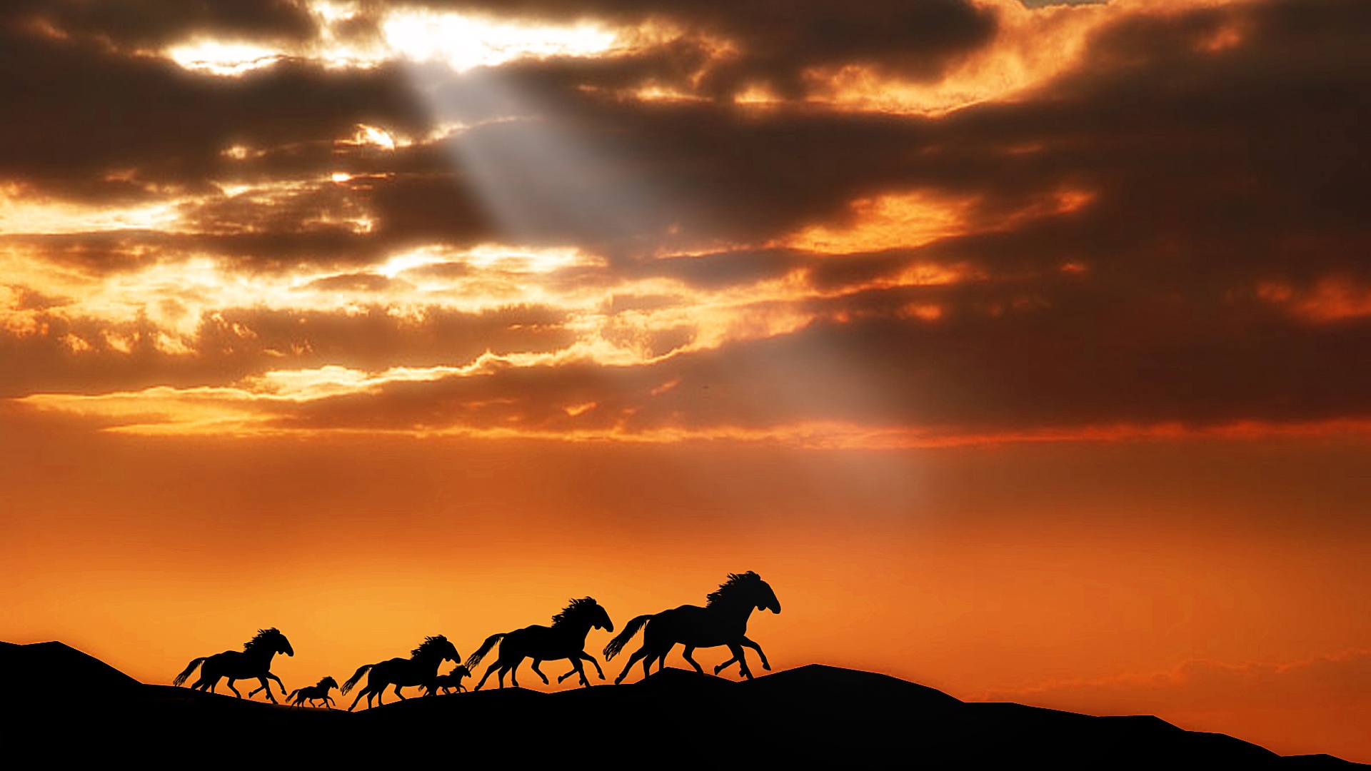 Download mobile wallpaper Sunset, Silhouette, Animal, Cloud, Horse, Sunbeam, Orange (Color) for free.