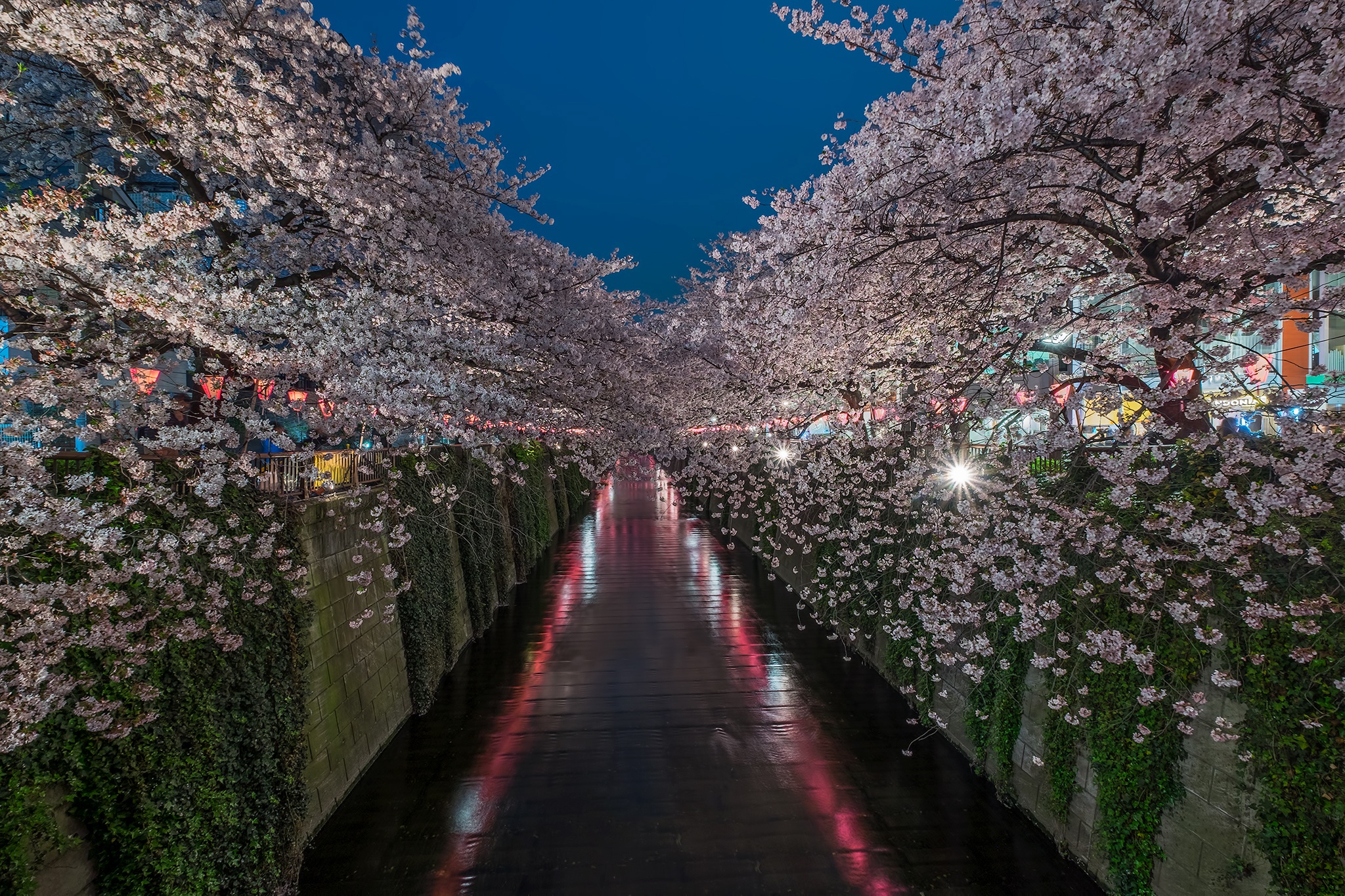 Baixar papel de parede para celular de Sakura, Rio, Japão, Tóquio, Canal, Feito Pelo Homem gratuito.