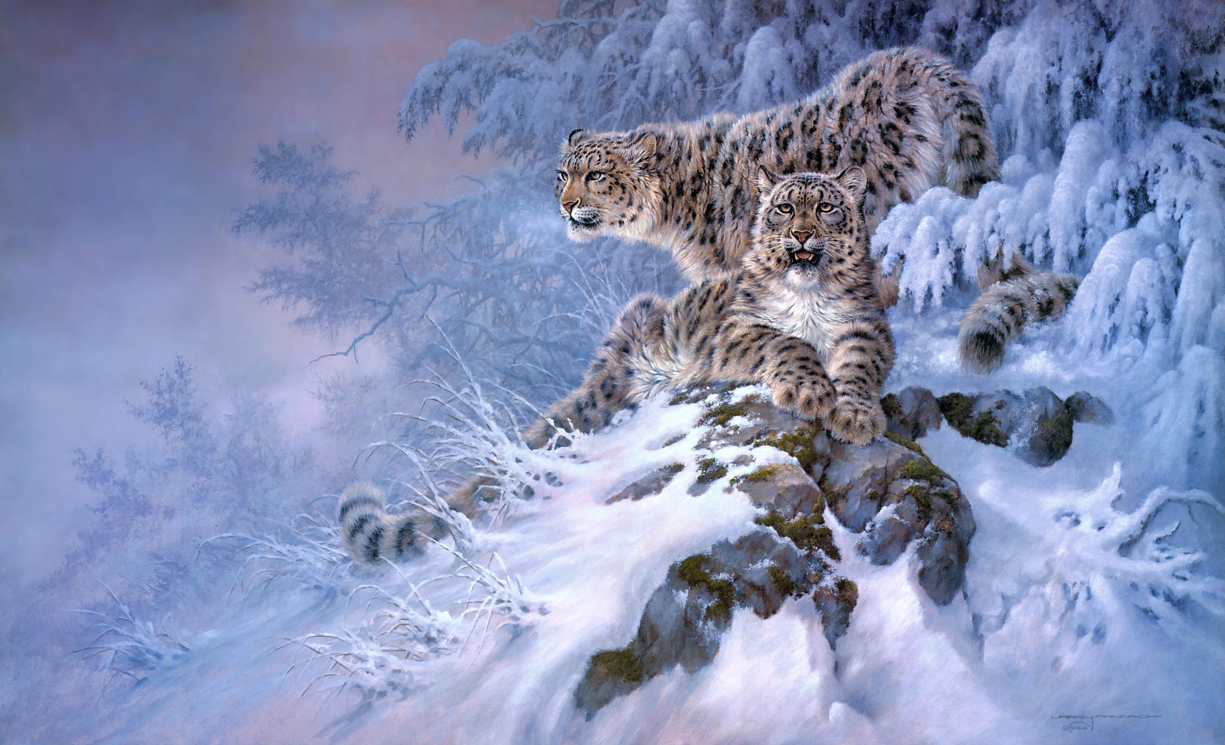 221089 Шпалери і Сніговий Леопард картинки на робочий стіл. Завантажити  заставки на ПК безкоштовно