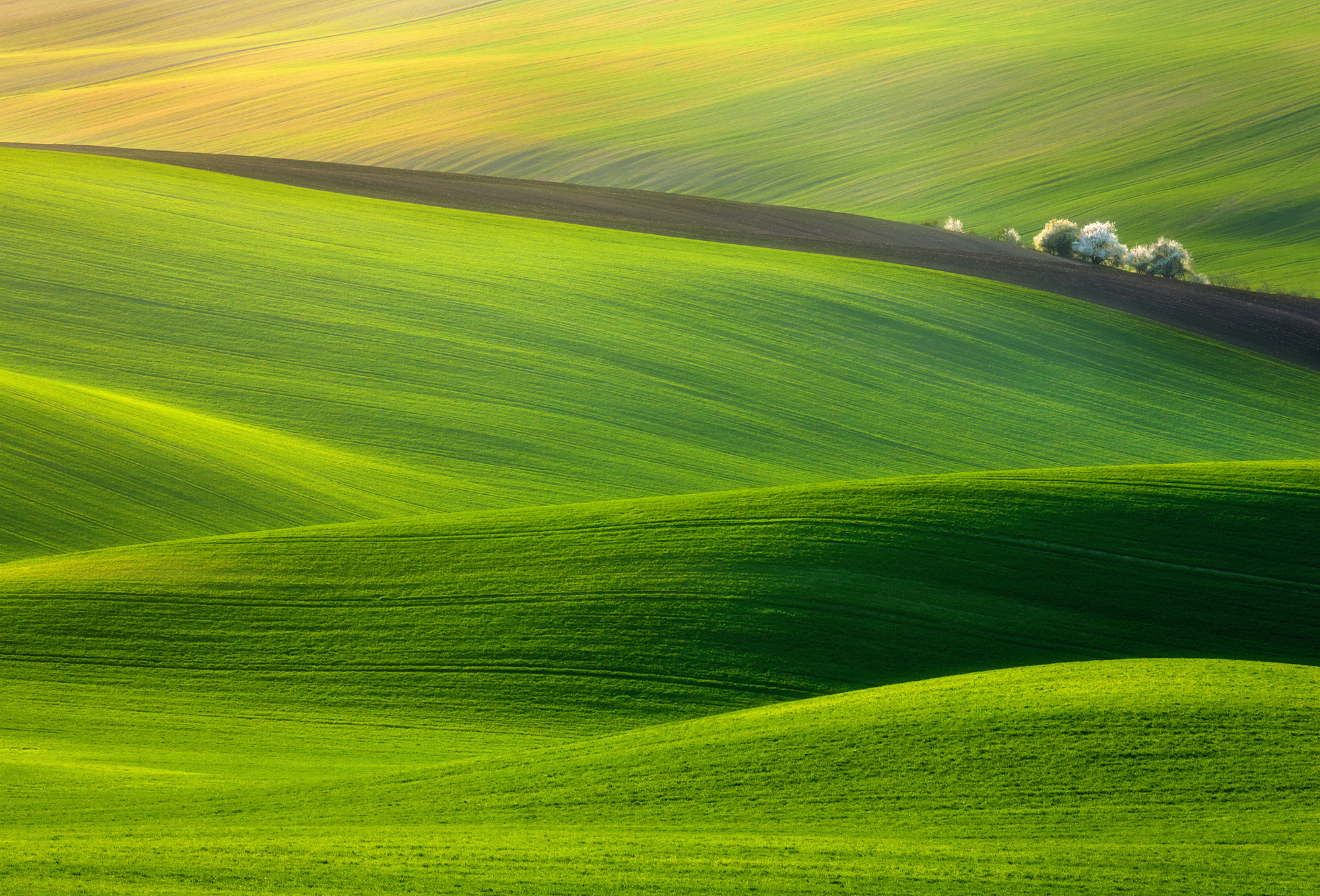 Download mobile wallpaper Field, Earth, Landscape for free.