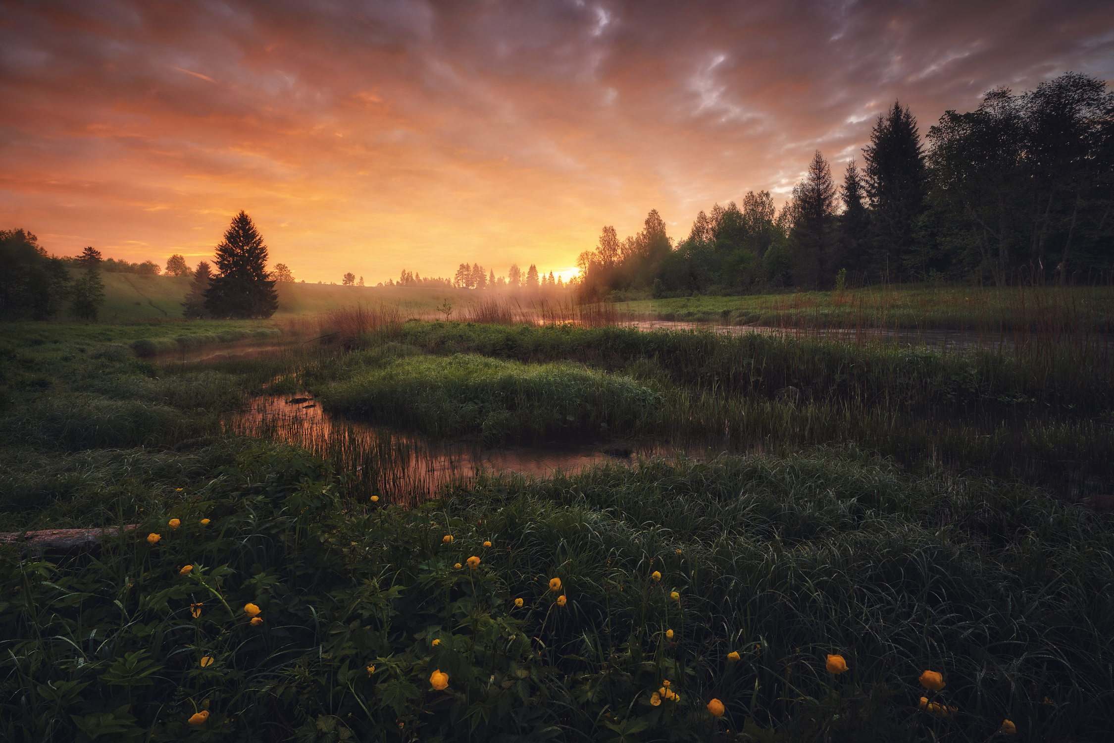 Laden Sie das Landschaft, Wald, Sonnenuntergang, Erde/natur-Bild kostenlos auf Ihren PC-Desktop herunter