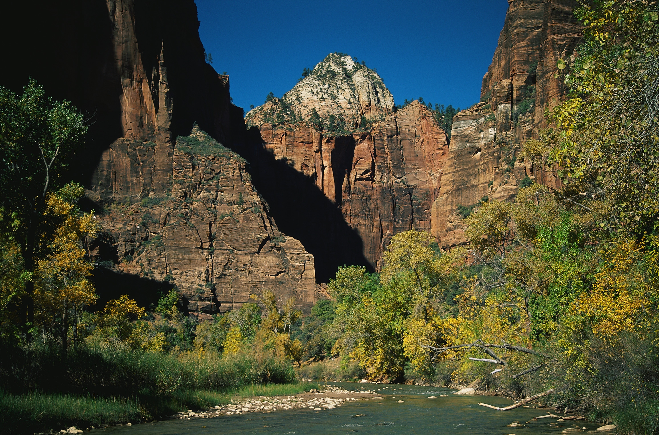 117702 скачать картинку горная река, природа, деревья, камни, осень, скалы, тень, ветви - обои и заставки бесплатно