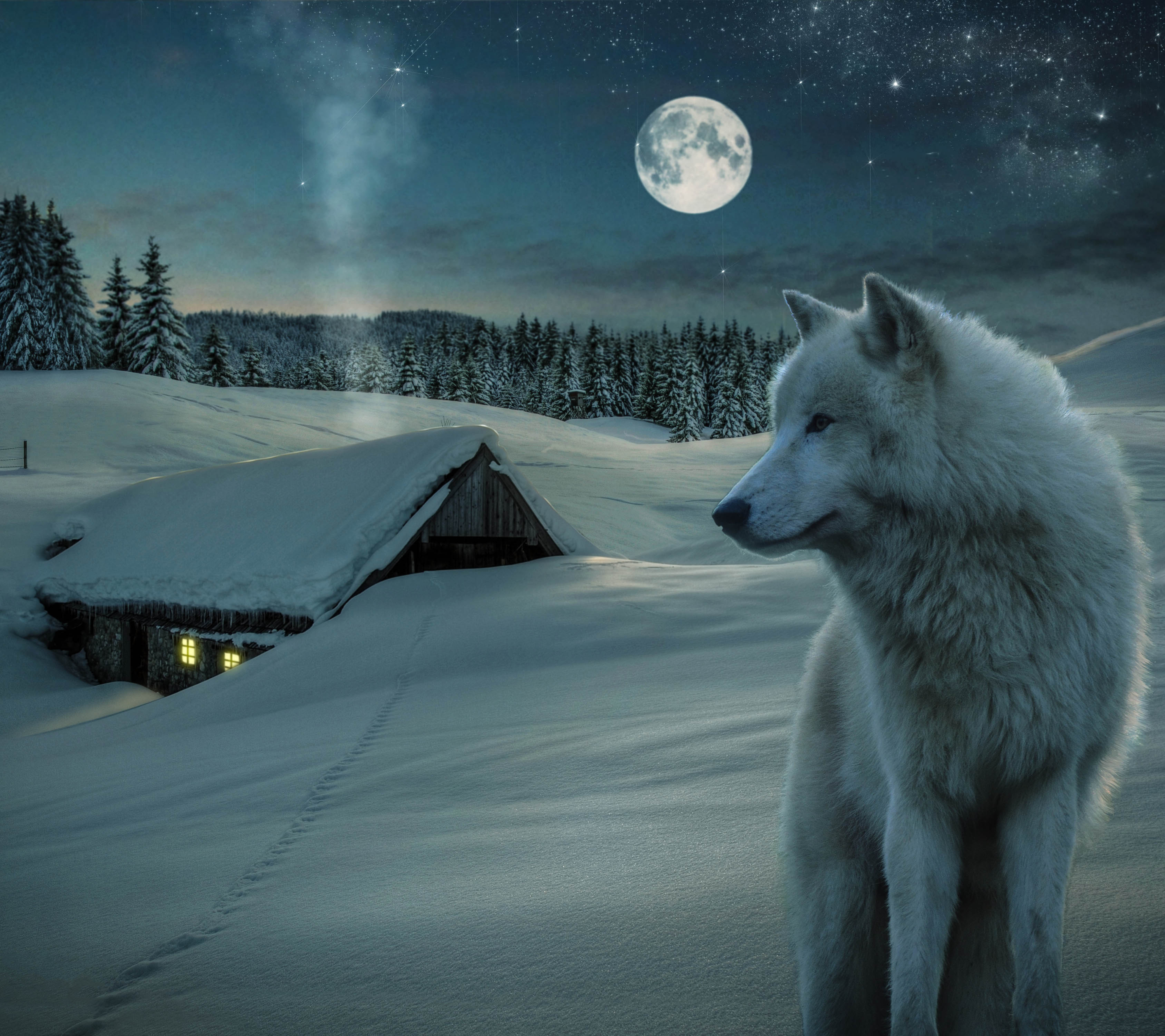 Скачать картинку Животные, Волки, Зима, Звезды, Ночь, Луна, Снег, Звездное Небо, Дом, Волк, Белый Волк в телефон бесплатно.