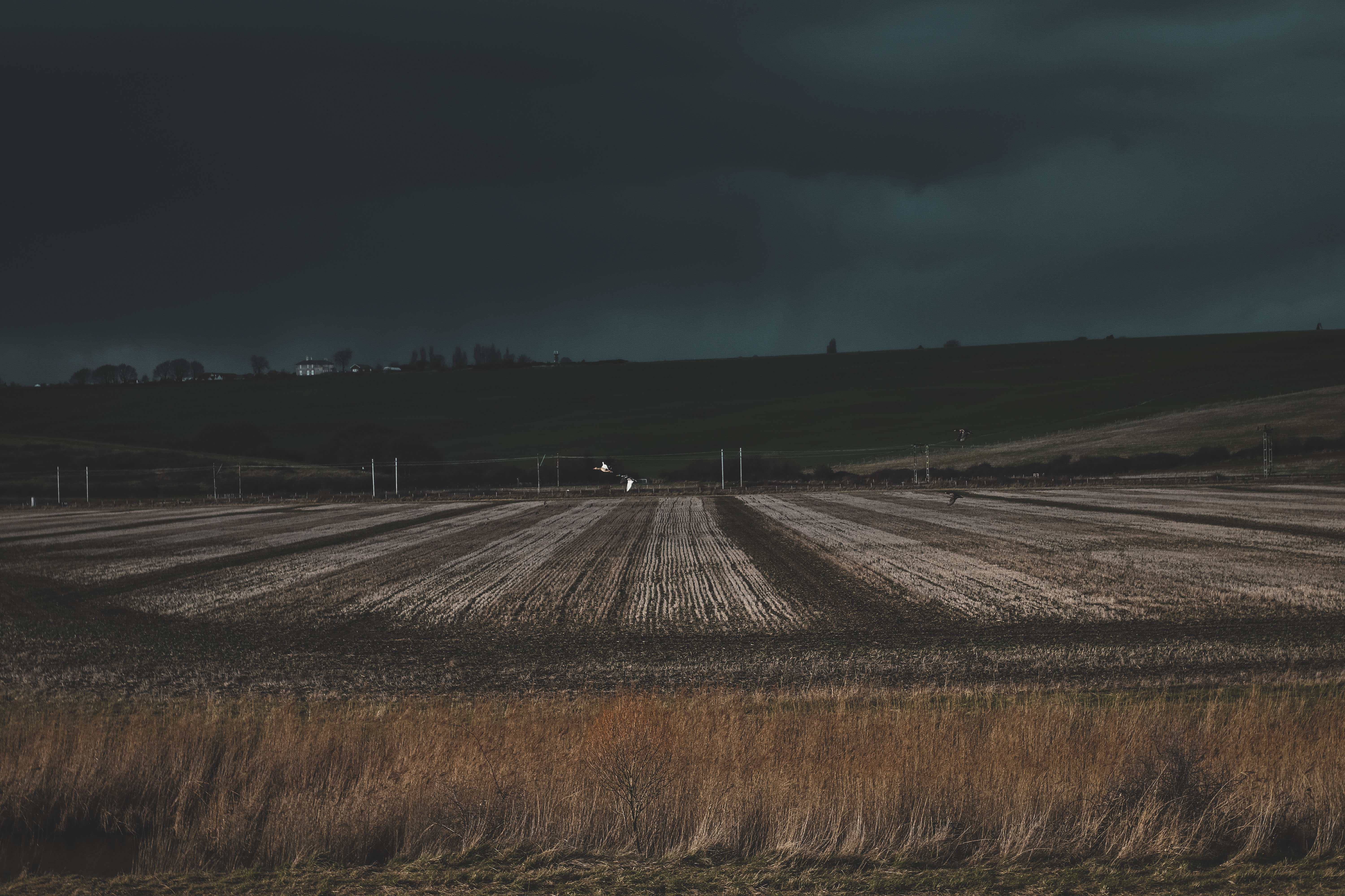 Free download wallpaper Grass, Field, Evening, Dark on your PC desktop