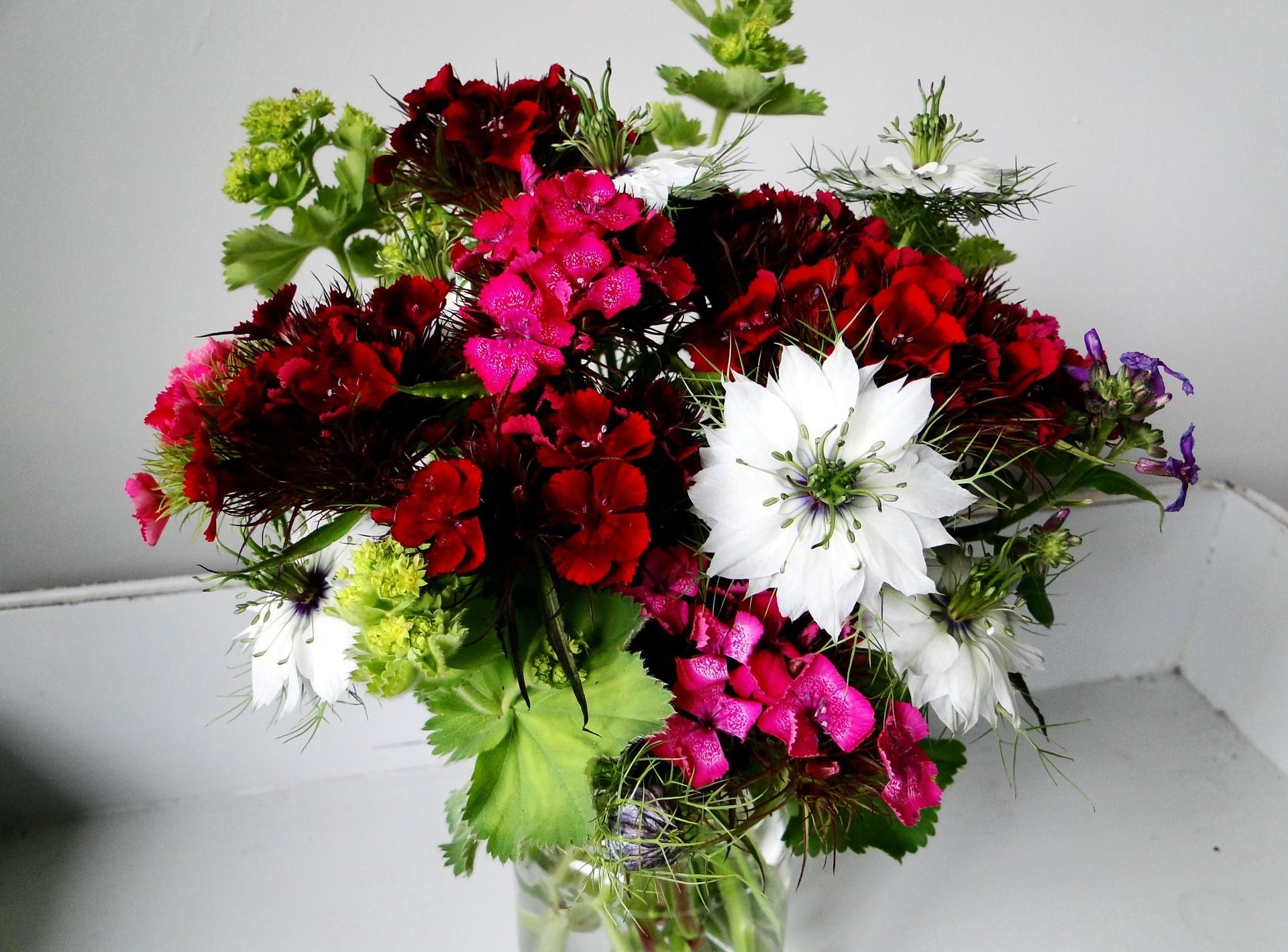 bouquet, flowers, carnations, handsomely, it's beautiful, nigella