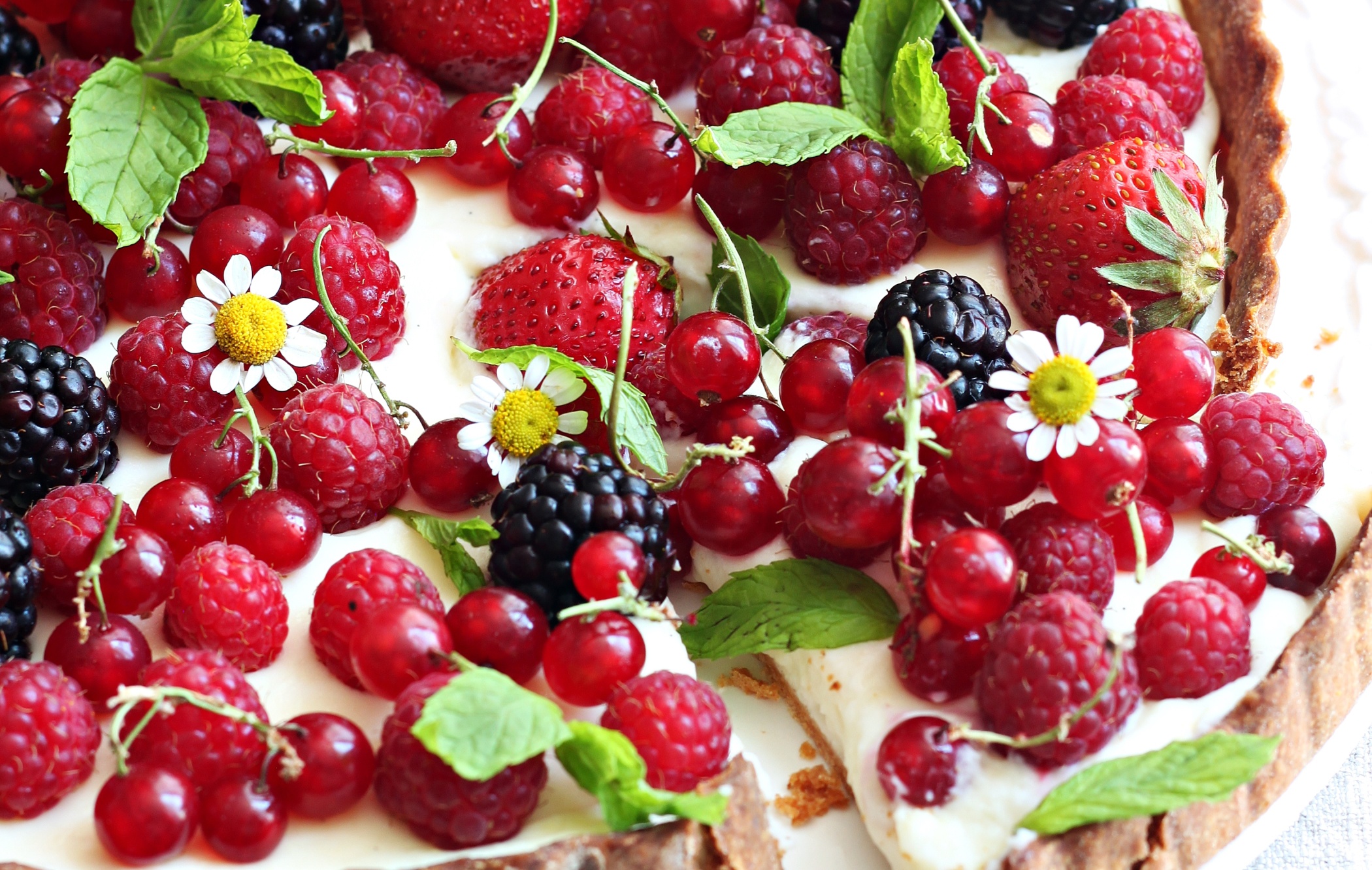 Laden Sie das Erdbeere, Himbeere, Gebäck, Kuchen, Brombeere, Frucht, Nahrungsmittel, Johannisbeeren-Bild kostenlos auf Ihren PC-Desktop herunter