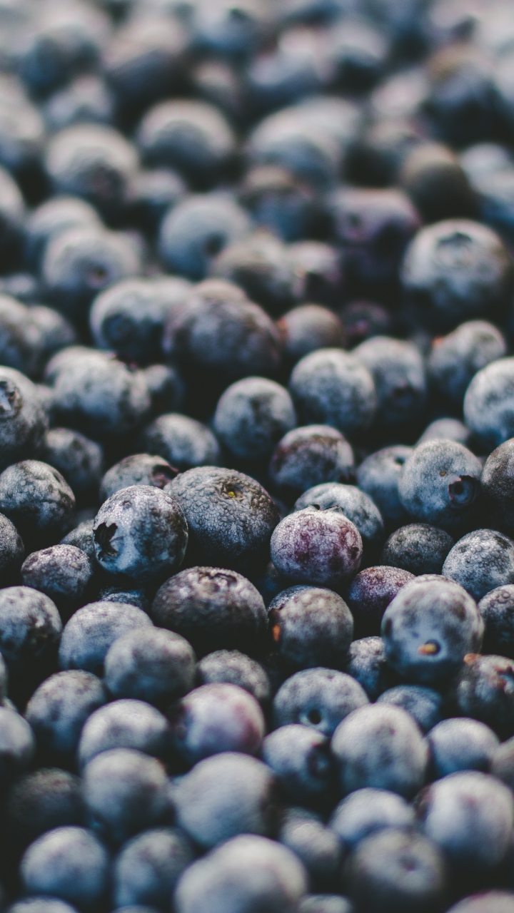 Download mobile wallpaper Food, Blueberry, Berry, Fruit for free.