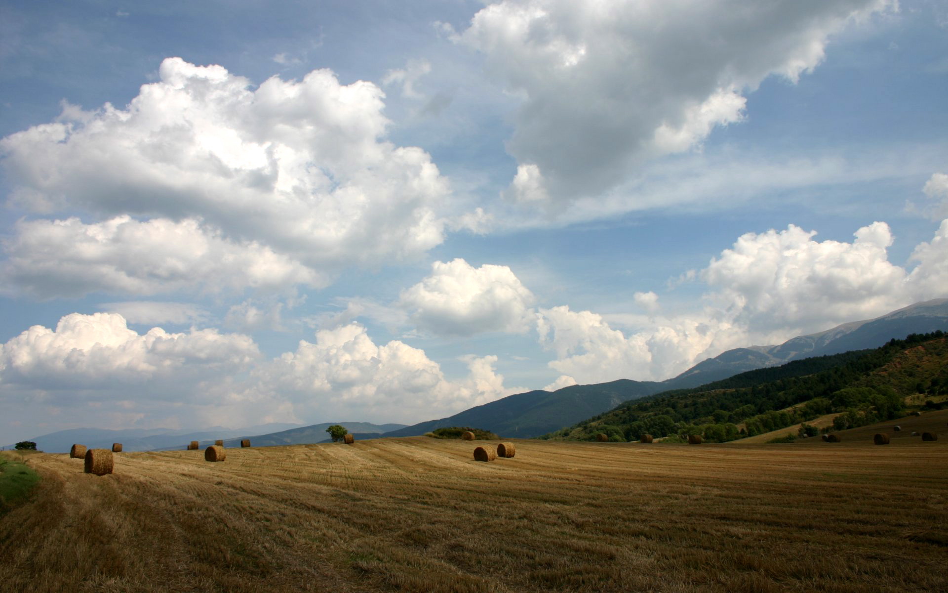 Handy-Wallpaper Feld, Erde/natur kostenlos herunterladen.