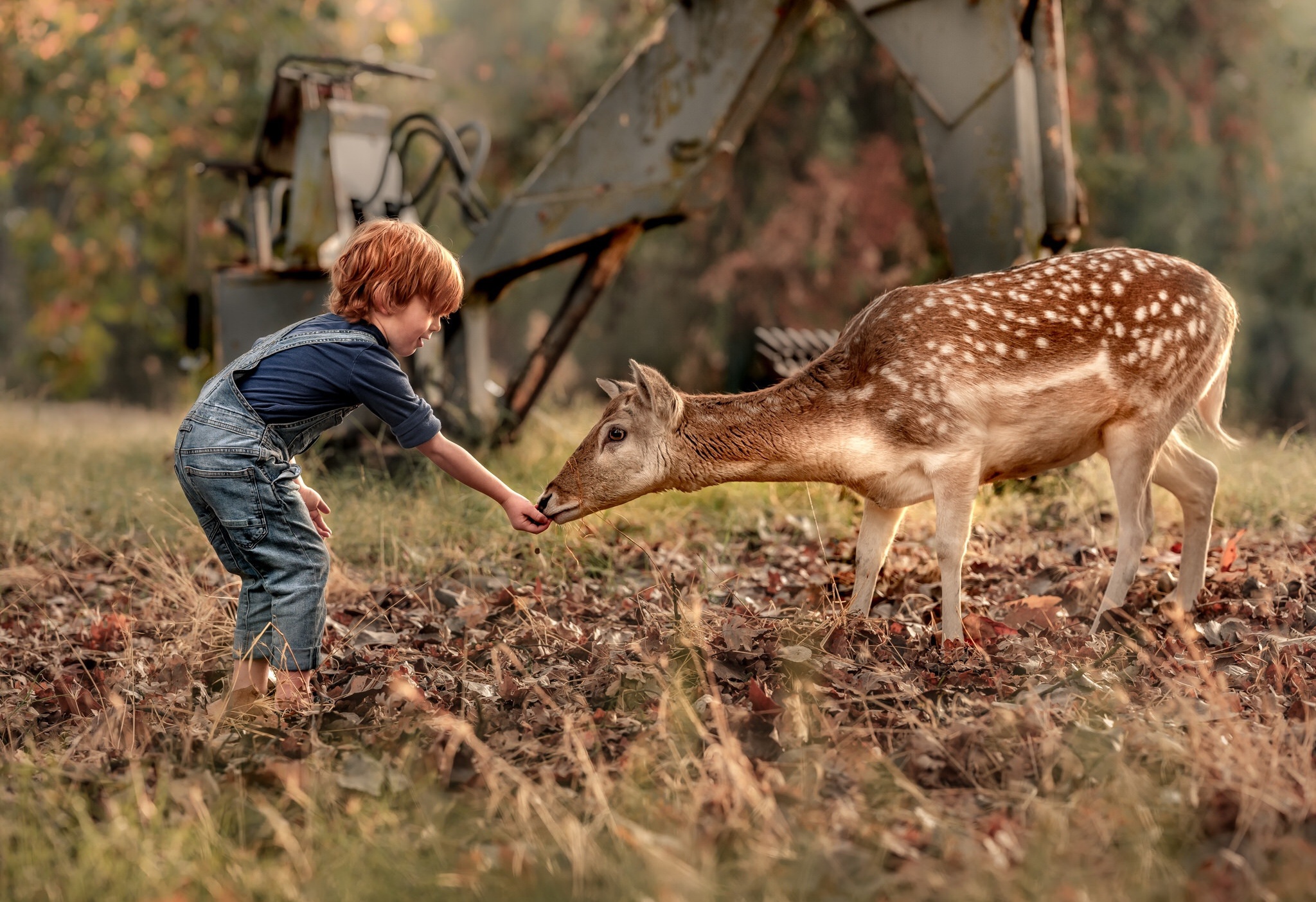 Download mobile wallpaper Deer, Child, Photography, Little Boy for free.