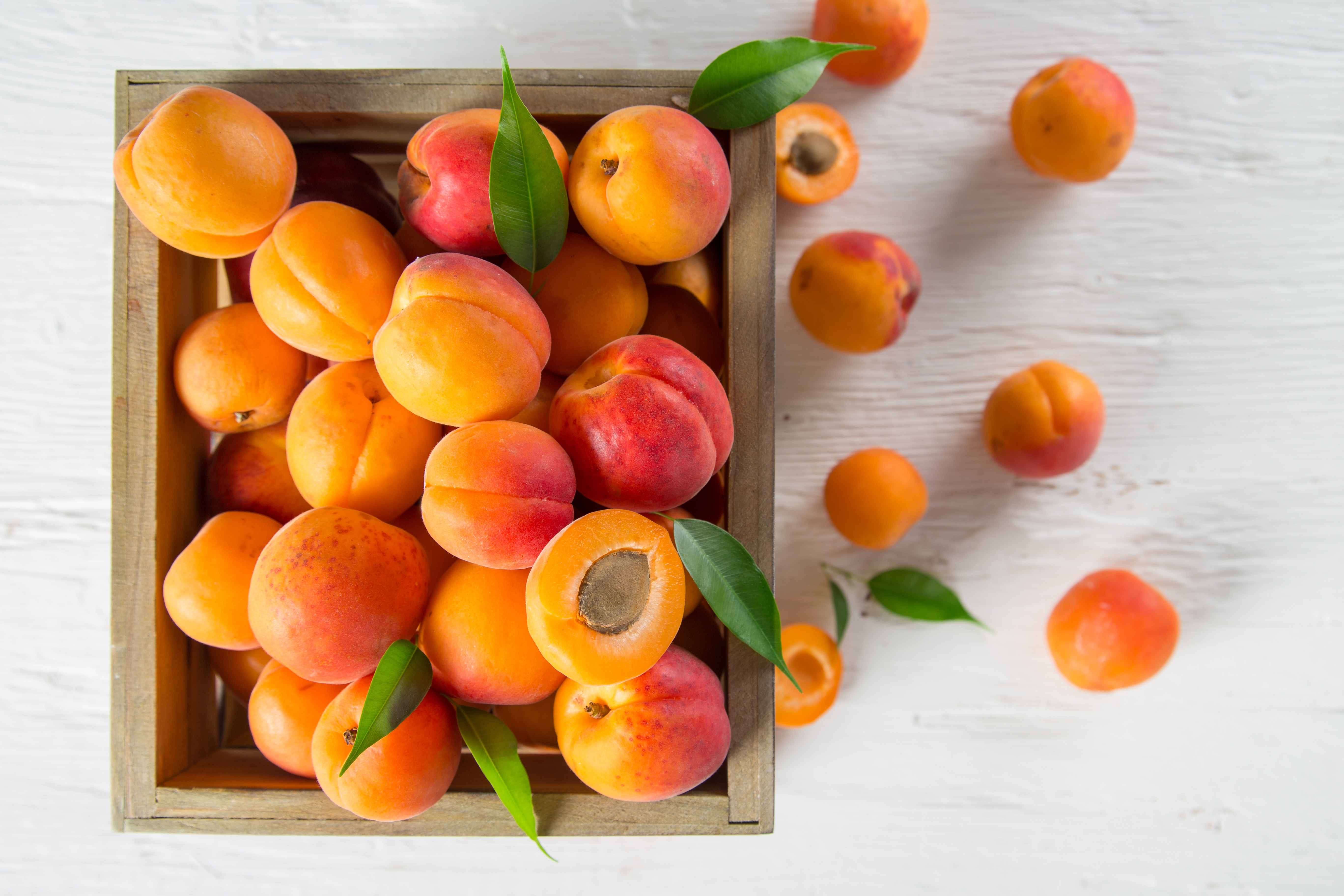 Download mobile wallpaper Food, Still Life, Fruit, Apricot for free.