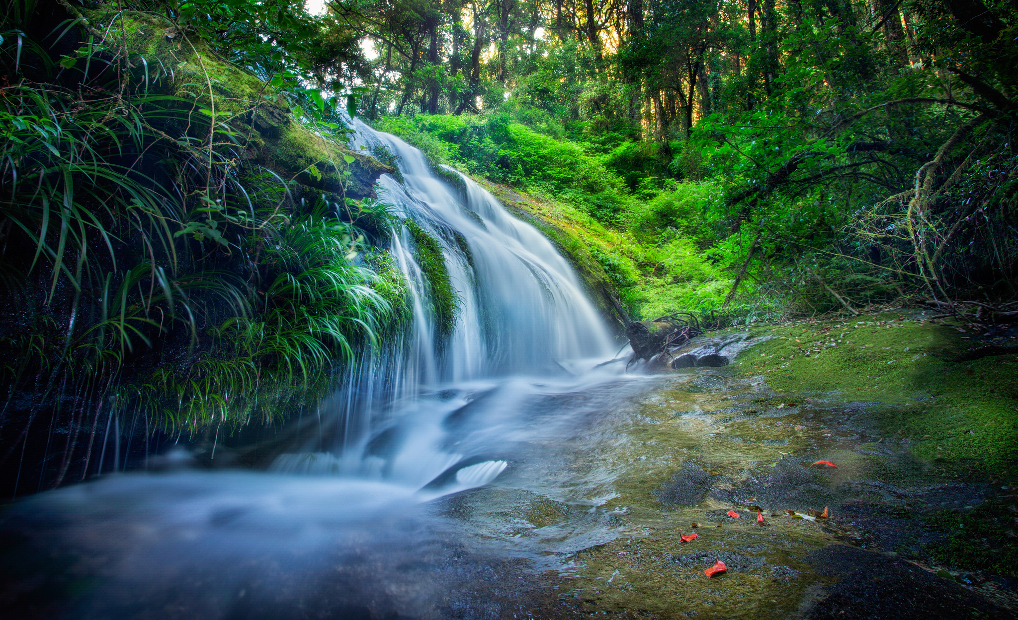 Download mobile wallpaper Waterfalls, Waterfall, Forest, Earth, Stream, Greenery for free.