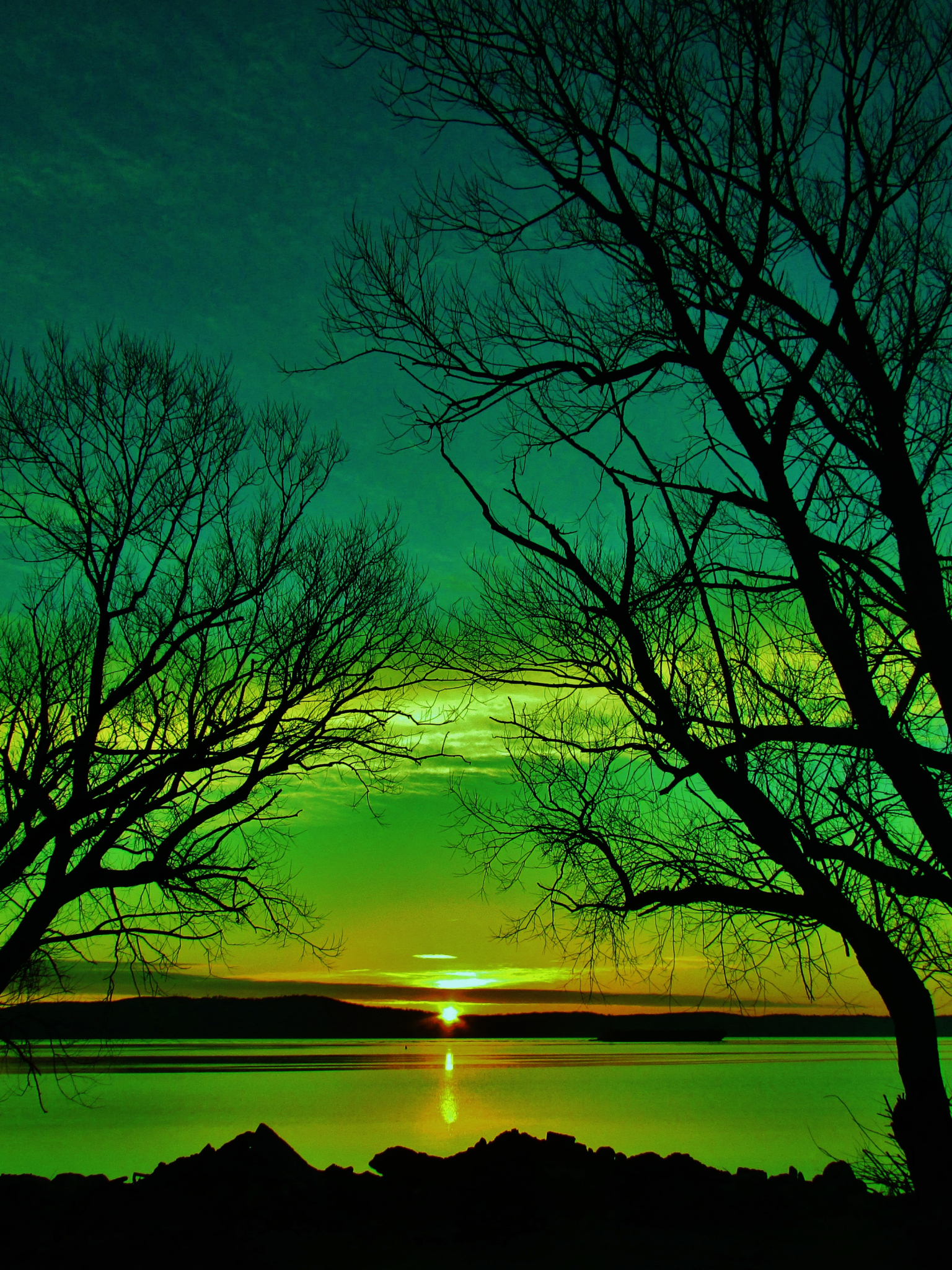 Скачать картинку Небо, Озеро, Силуэт, Дерево, Зеленый, Земля/природа, Закат Солнца в телефон бесплатно.