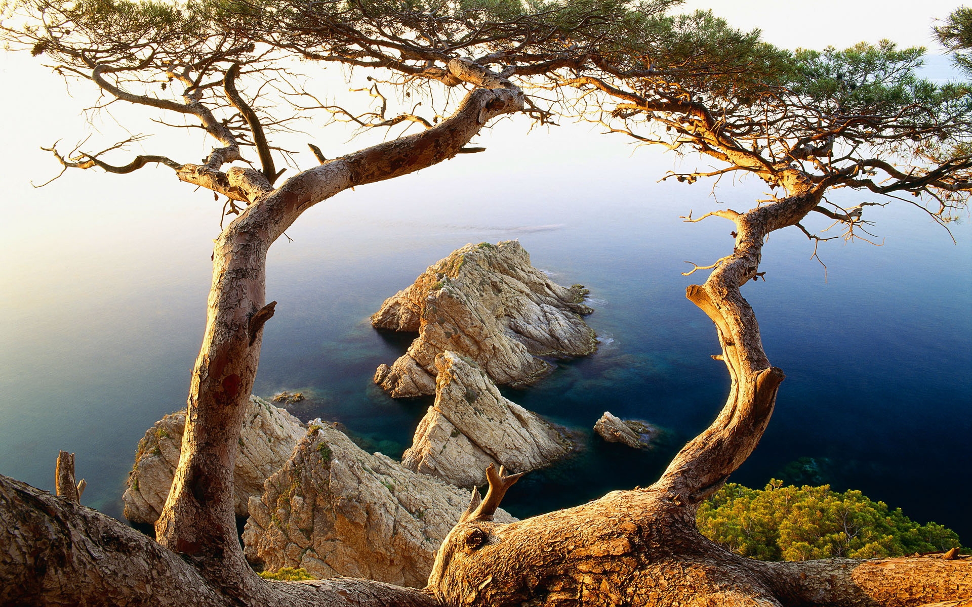 Free download wallpaper Landscape, Trees, Mountains, Sea on your PC desktop
