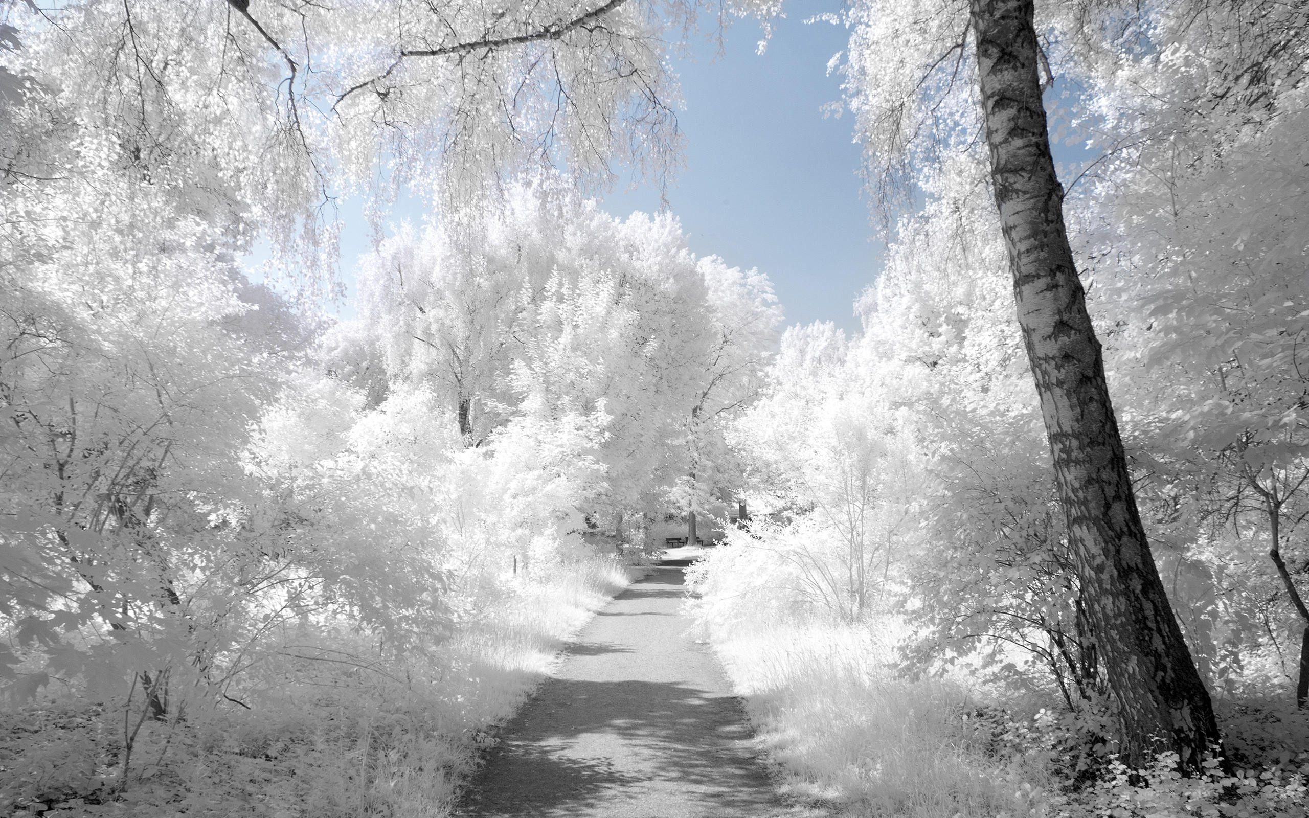 Free download wallpaper Path, Photography, Manipulation on your PC desktop