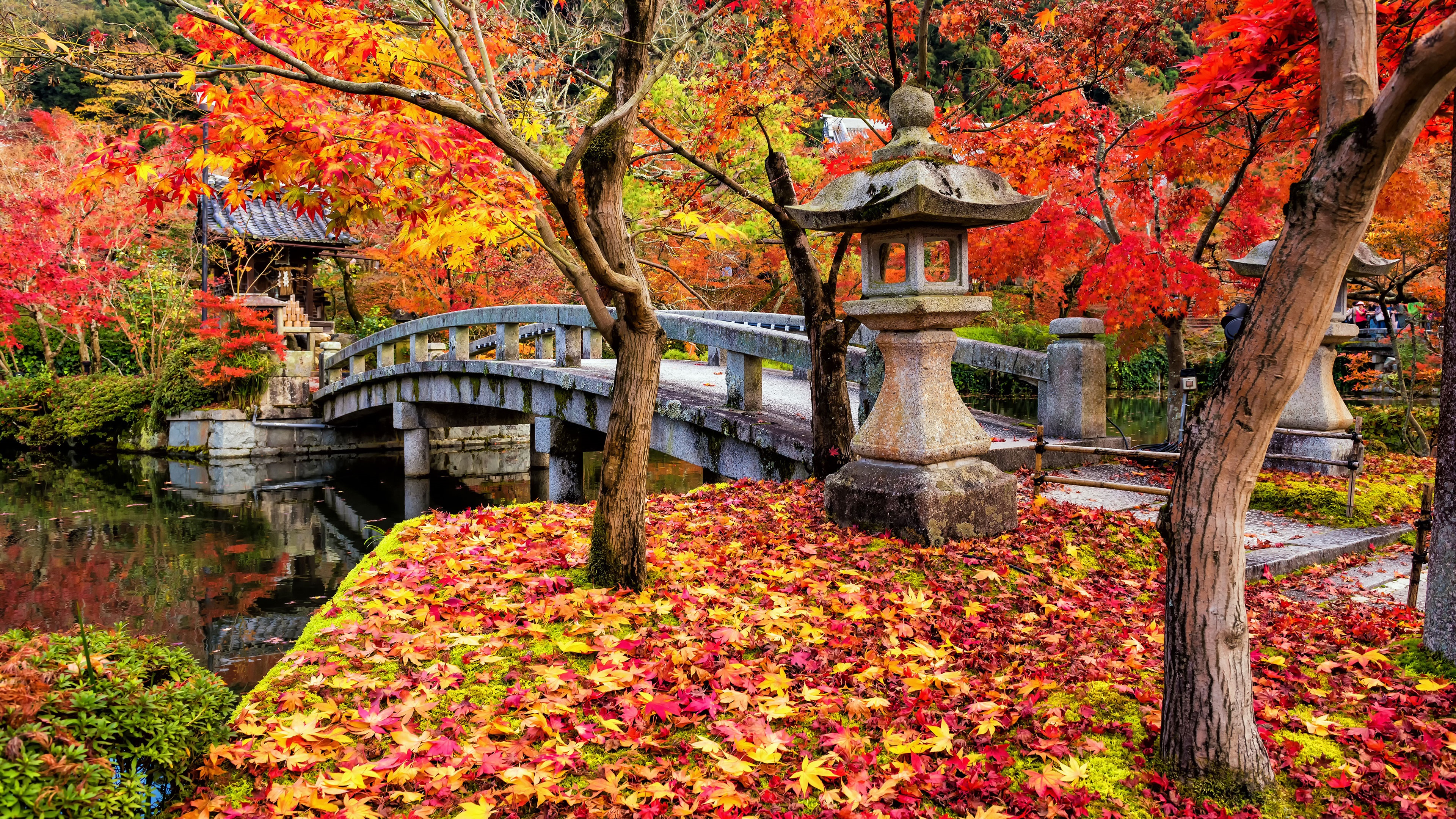Скачать обои бесплатно Мосты, Осень, Мост, Япония, Сделано Человеком картинка на рабочий стол ПК