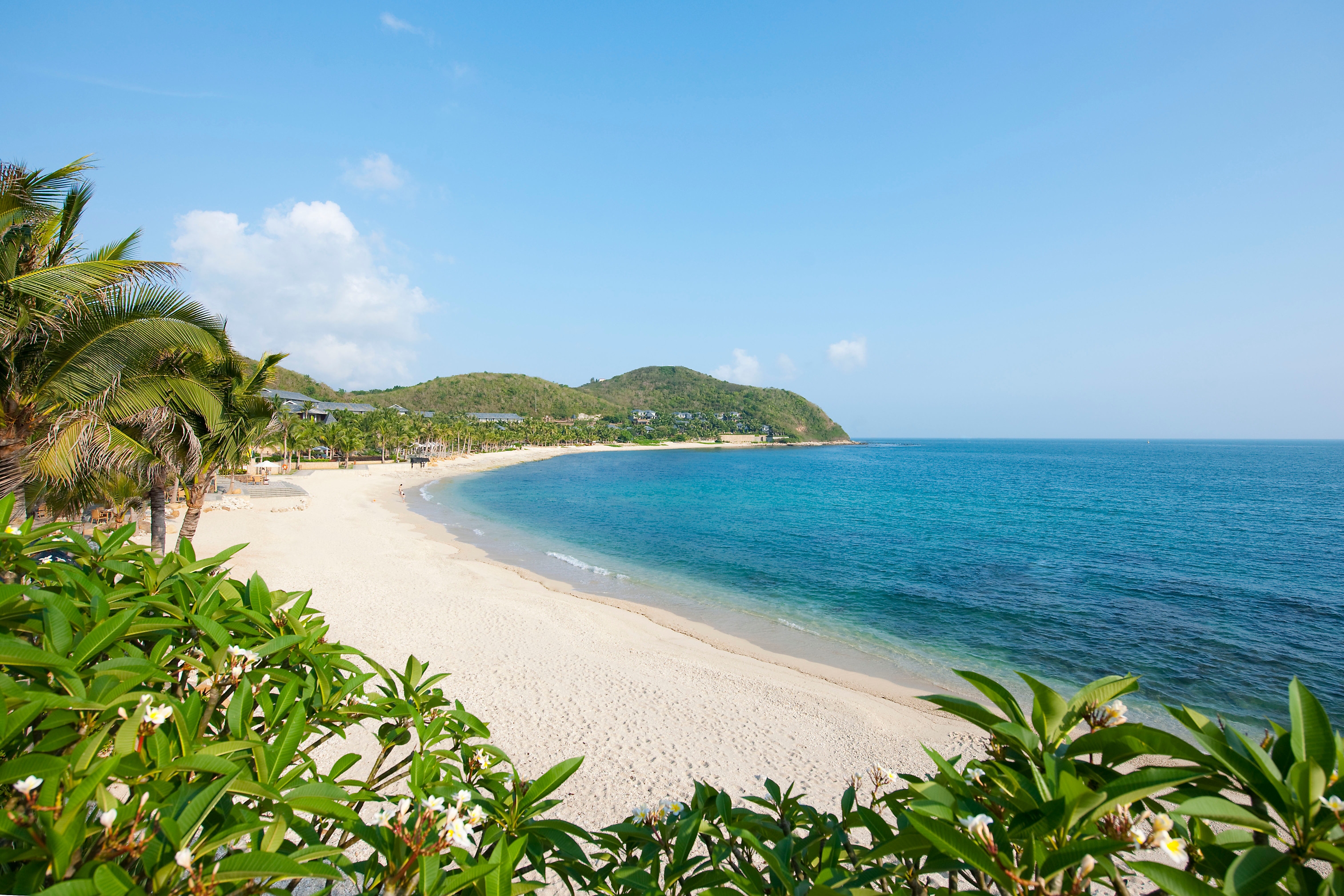 bank, beach, shore, nature, palms, relaxation, rest, tropics