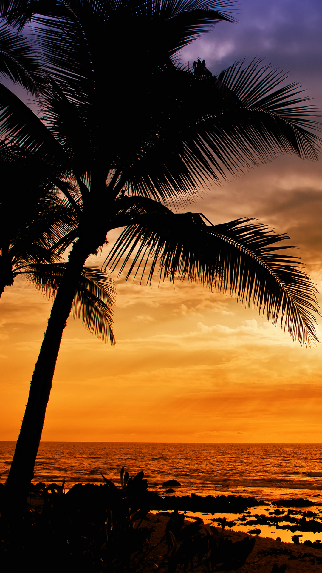 Download mobile wallpaper Sunset, Horizon, Ocean, Earth, Palm Tree for free.