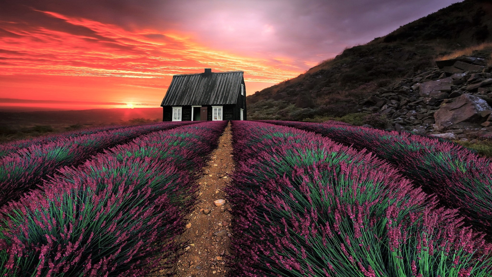 Laden Sie das Haus, Feld, Lavendel, Sonnenuntergang, Künstlerisch-Bild kostenlos auf Ihren PC-Desktop herunter