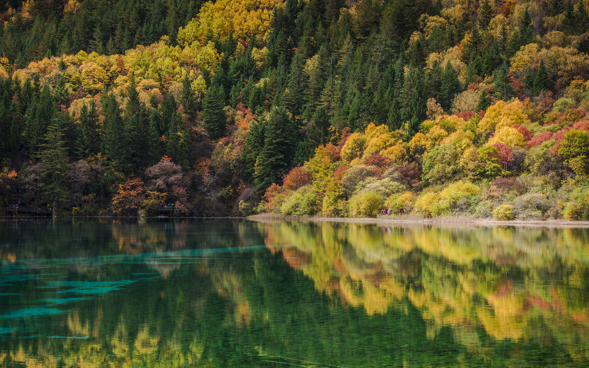 Free download wallpaper Reflection, Forest, Fall, Earth, River on your PC desktop