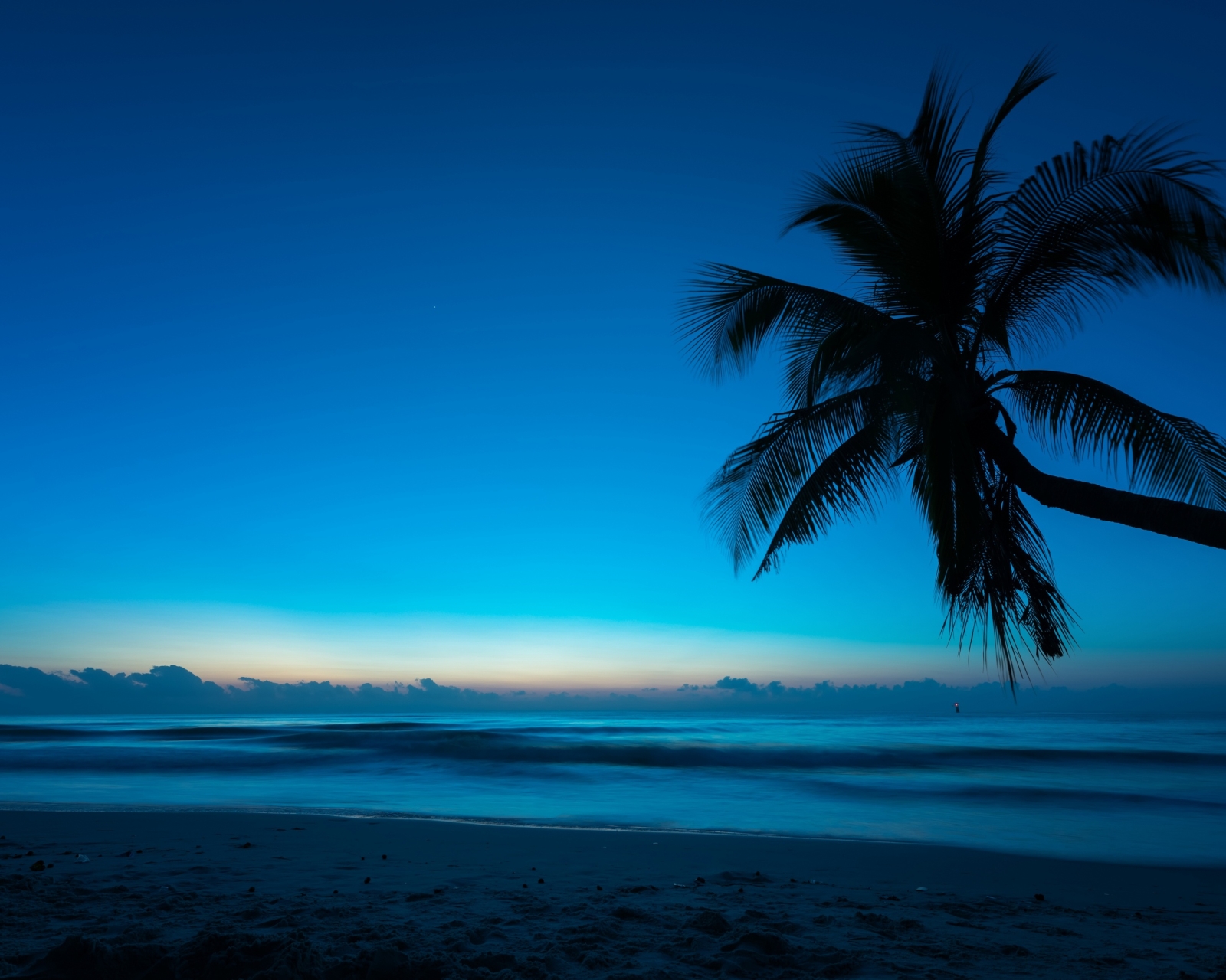 Download mobile wallpaper Nature, Sky, Horizon, Ocean, Earth, Palm Tree for free.