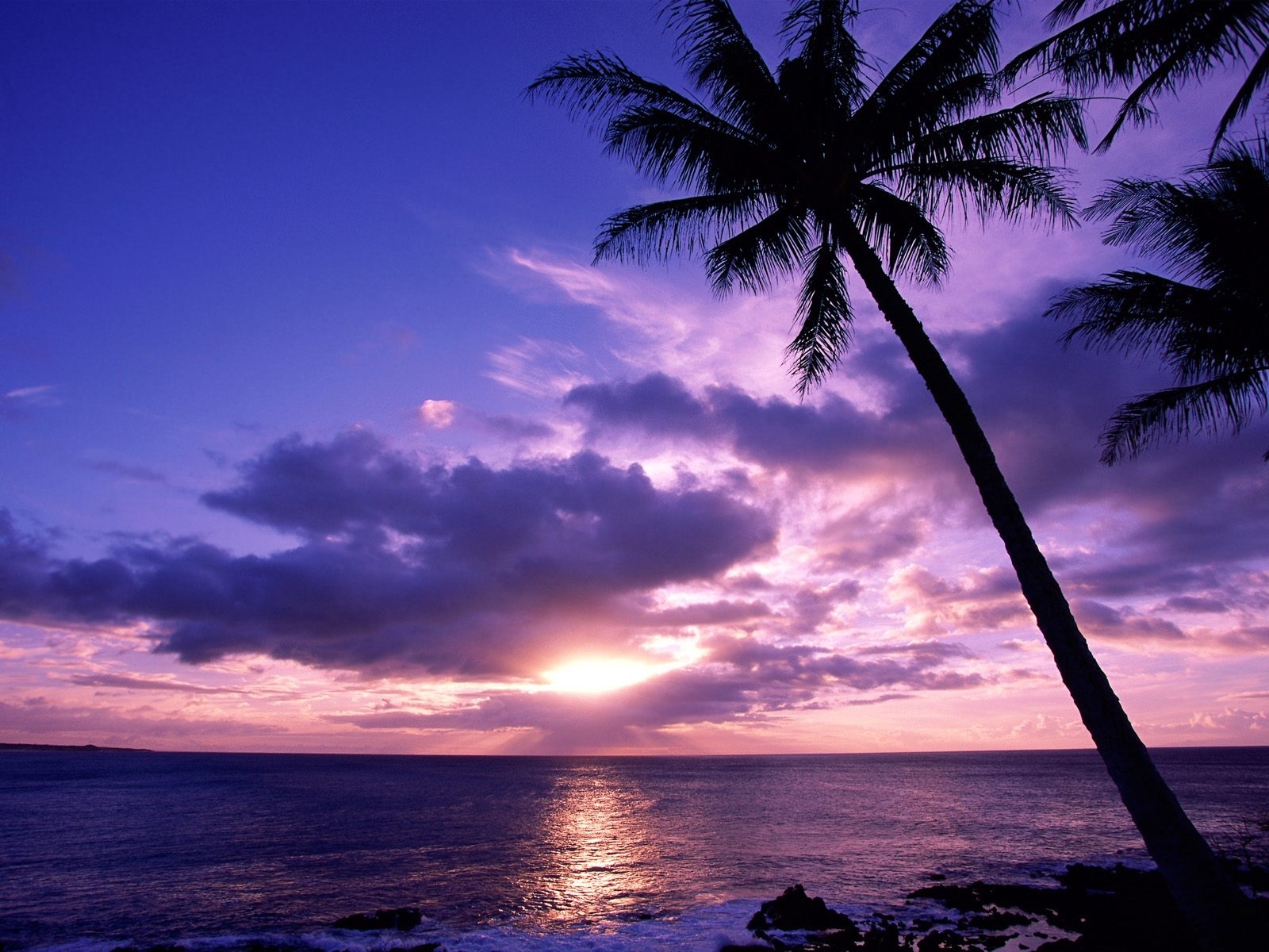 4710 descargar imagen mar, sol, palms, cielo, puesta del sol, paisaje: fondos de pantalla y protectores de pantalla gratis
