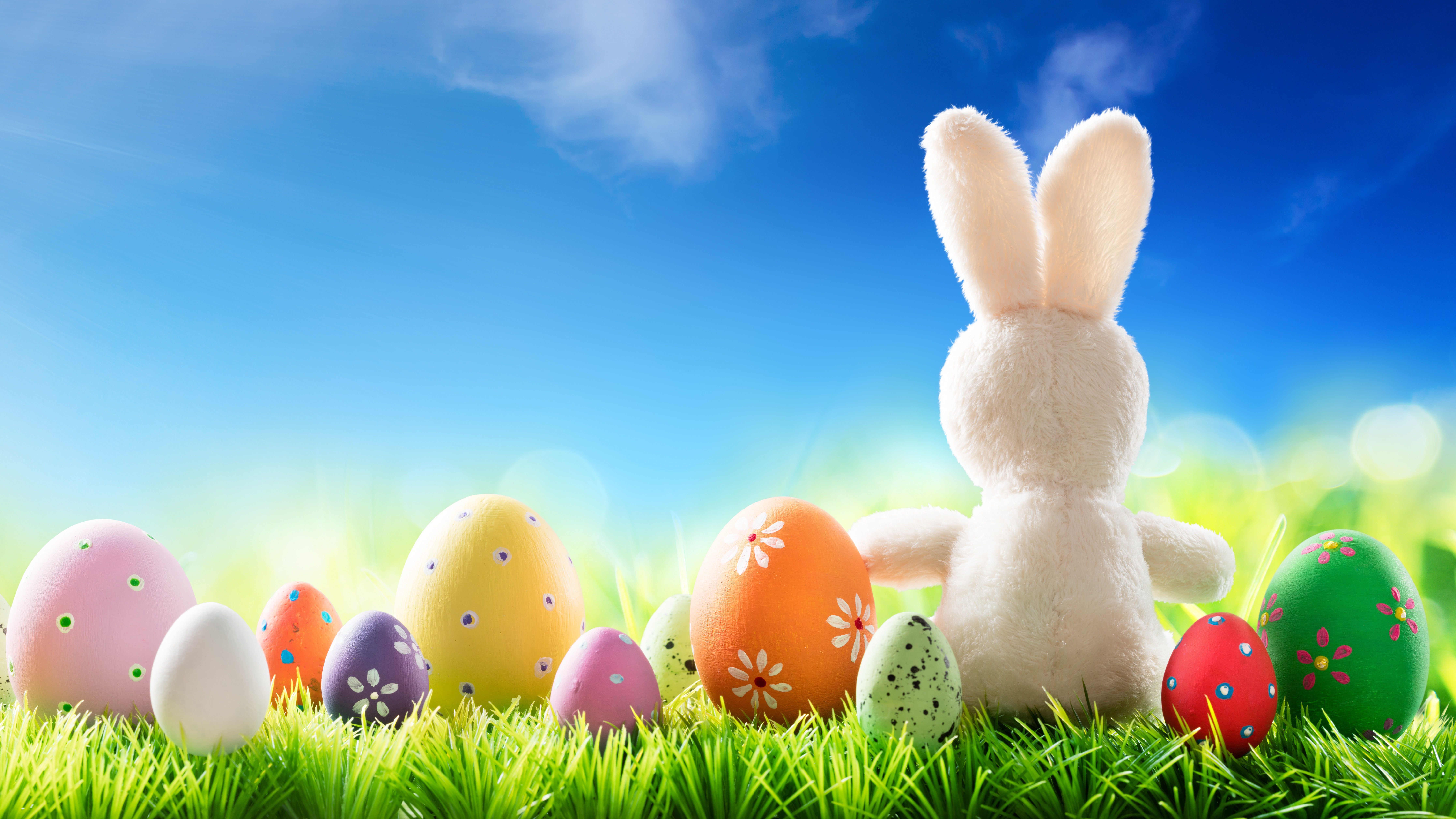Laden Sie das Feiertage, Ostern, Kuscheltier, Osterei-Bild kostenlos auf Ihren PC-Desktop herunter