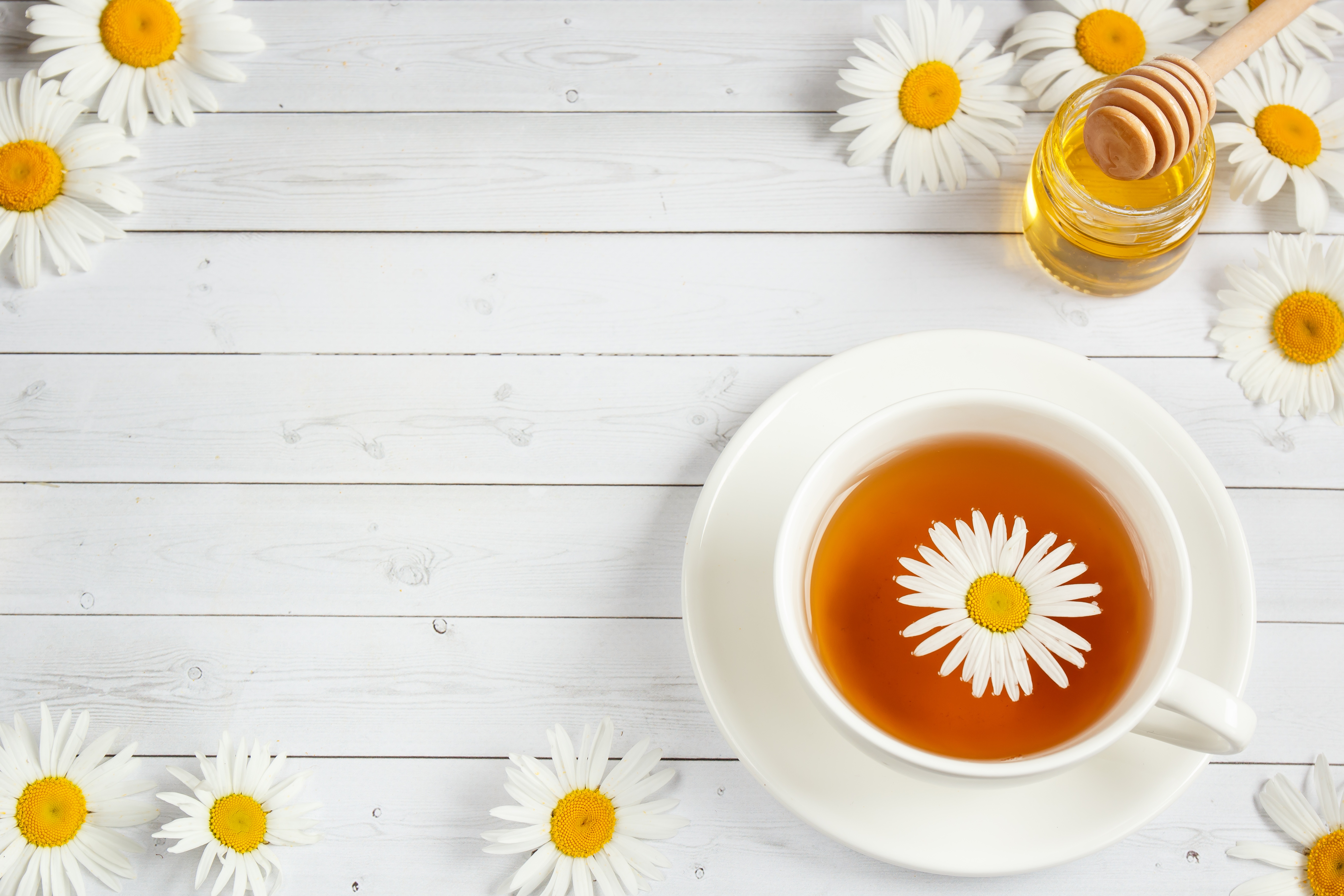 Free download wallpaper Food, Still Life, Cup, Tea, Honey, White Flower on your PC desktop