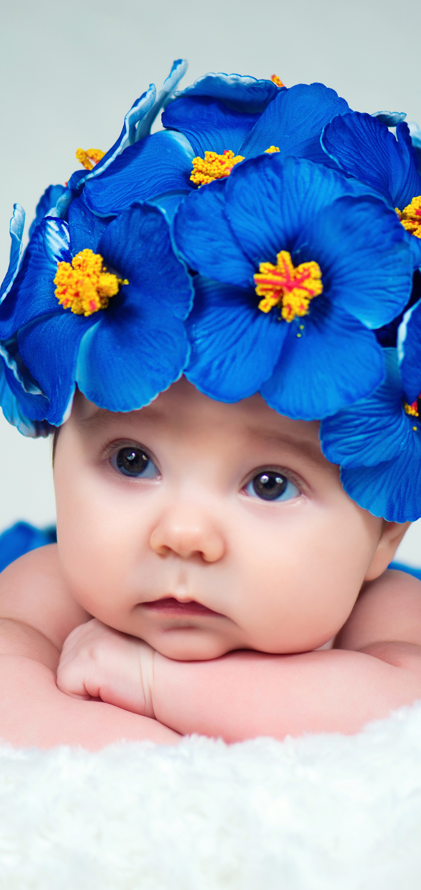 Handy-Wallpaper Blume, Süß, Kranz, Fotografie, Baby, Blaue Blume kostenlos herunterladen.