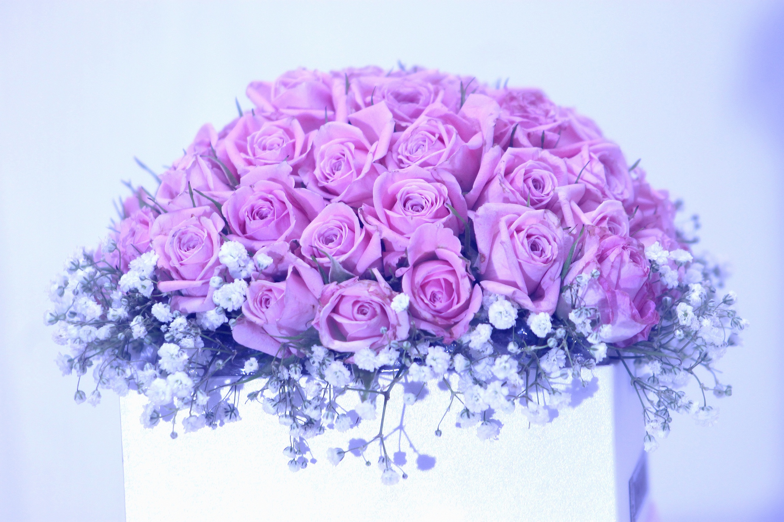 無料モバイル壁紙花, 薔薇, 花束, 箱, マンメイド, ピンクのバラをダウンロードします。
