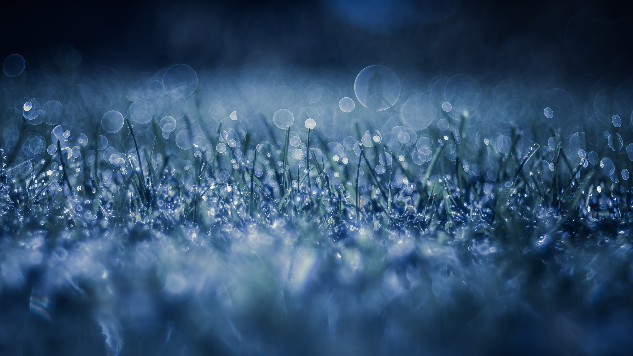 Download mobile wallpaper Nature, Grass, Macro, Earth, Bokeh, Water Drop for free.