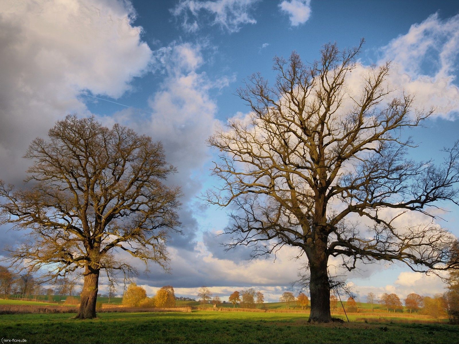 Free download wallpaper Trees, Clouds, Branches, Nature, Grass, Autumn, Field on your PC desktop