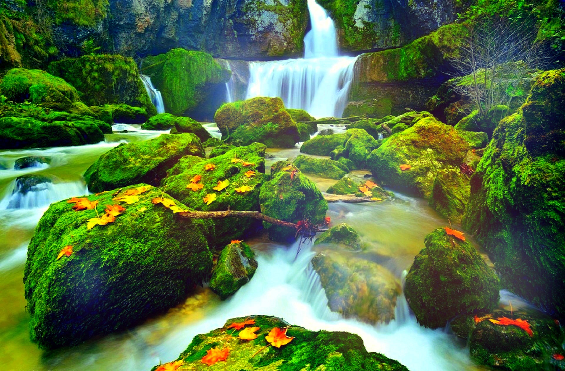 Handy-Wallpaper Herbst, Wasserfälle, Wasserfall, Wald, Blatt, Moos, Erde/natur kostenlos herunterladen.