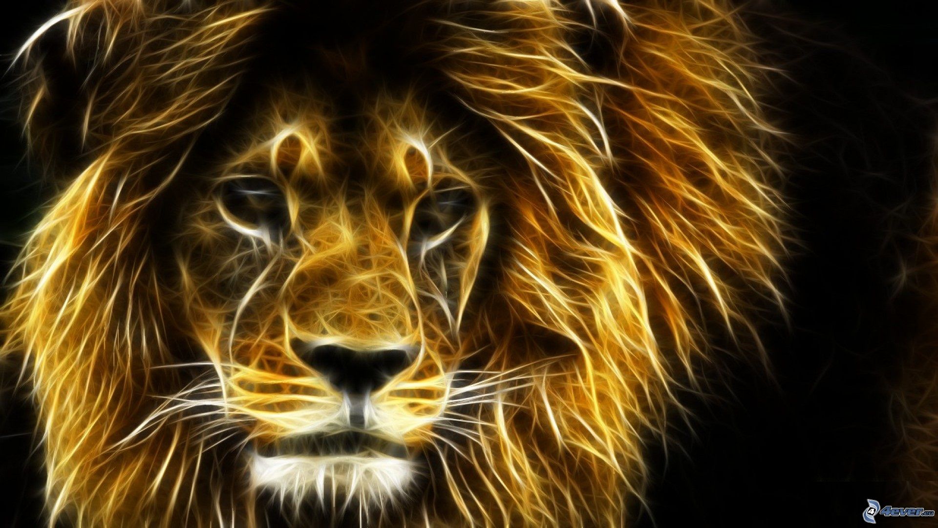 Free download wallpaper Cats, Lion, Animal, Parrot on your PC desktop