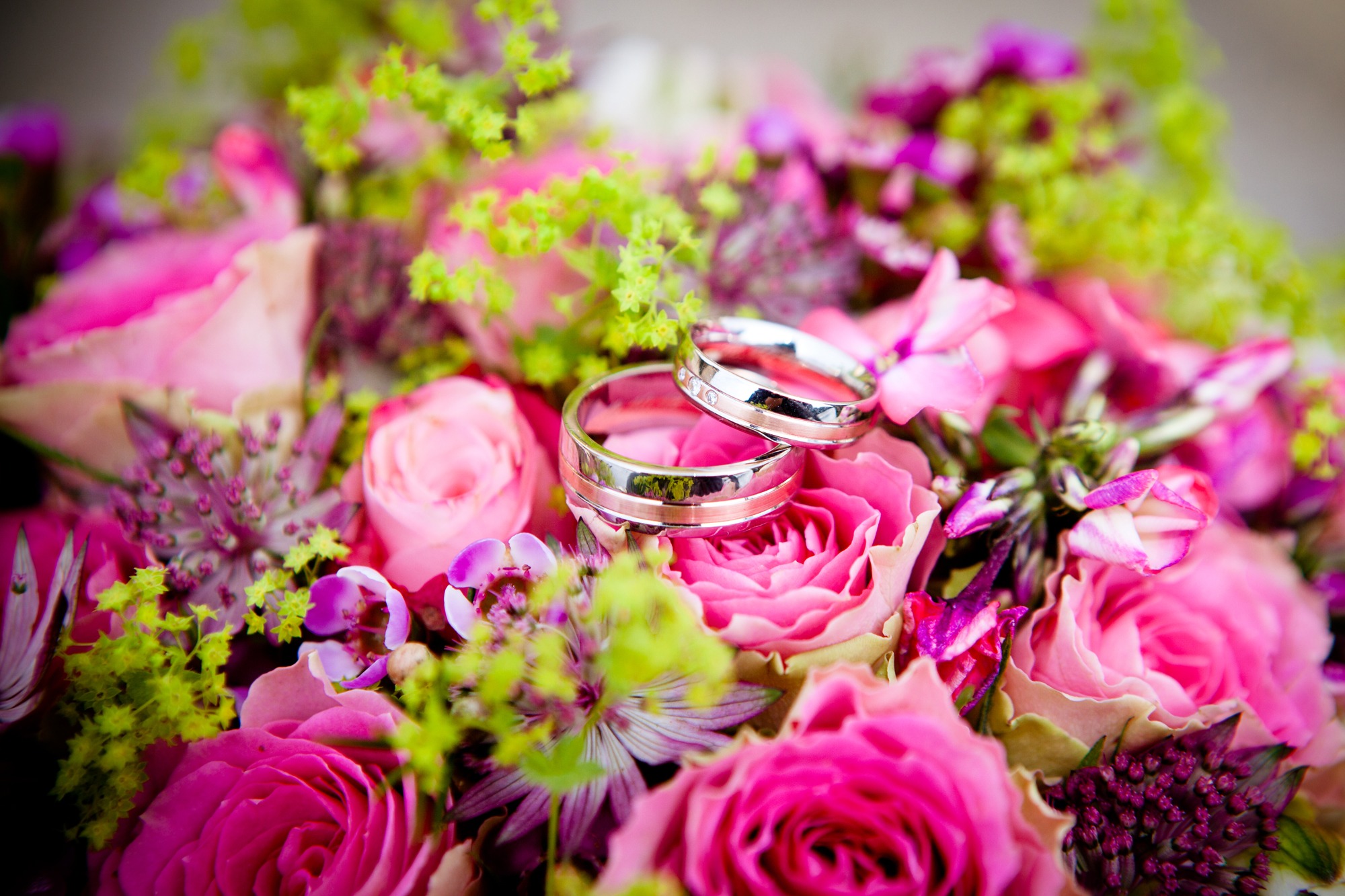 54192 скачать обои кольца, свадьба, розы, праздники, букет - заставки и картинки бесплатно