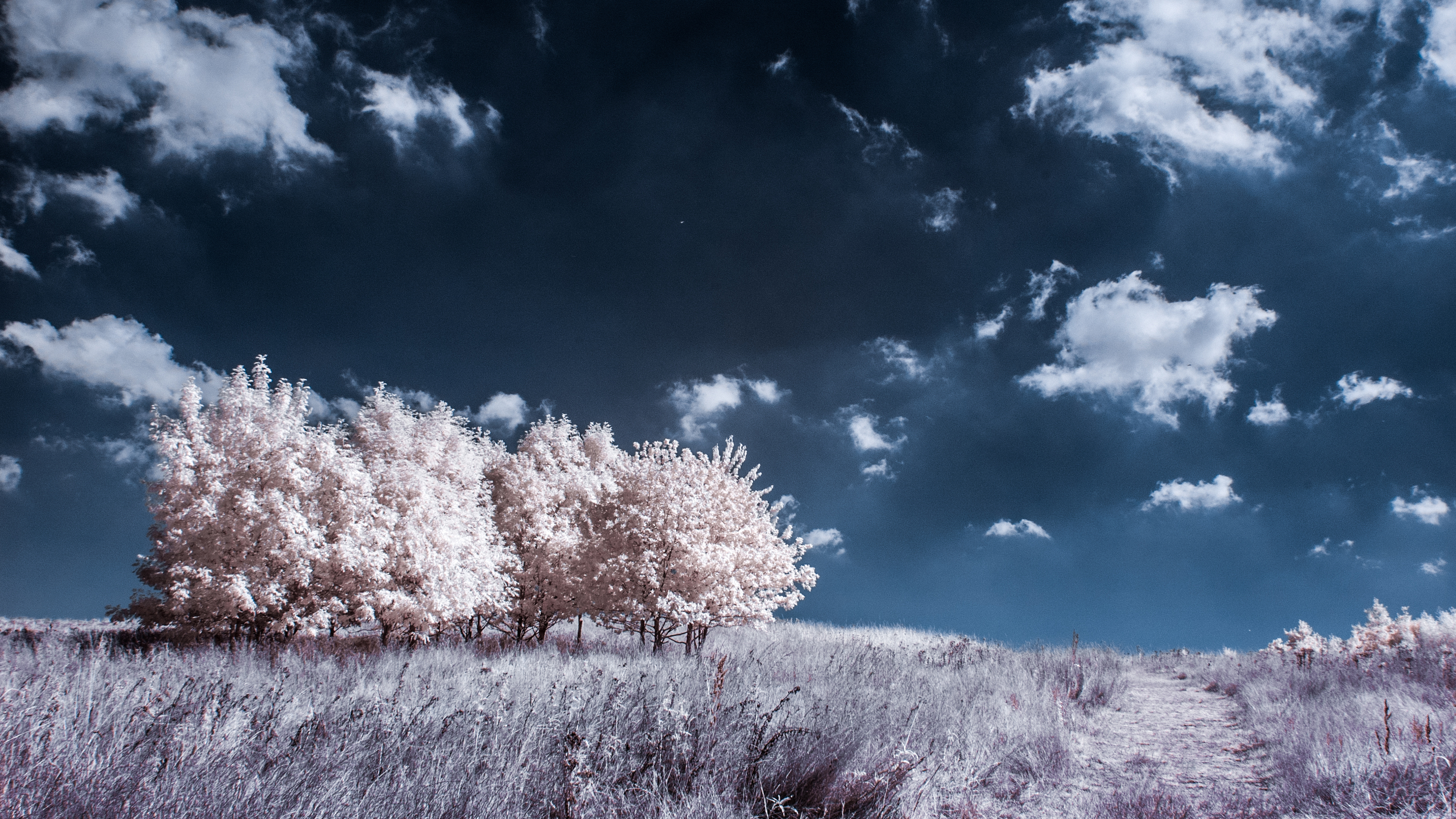 Free download wallpaper Landscape, Nature, Sky, Tree, Earth, Path, Cloud on your PC desktop