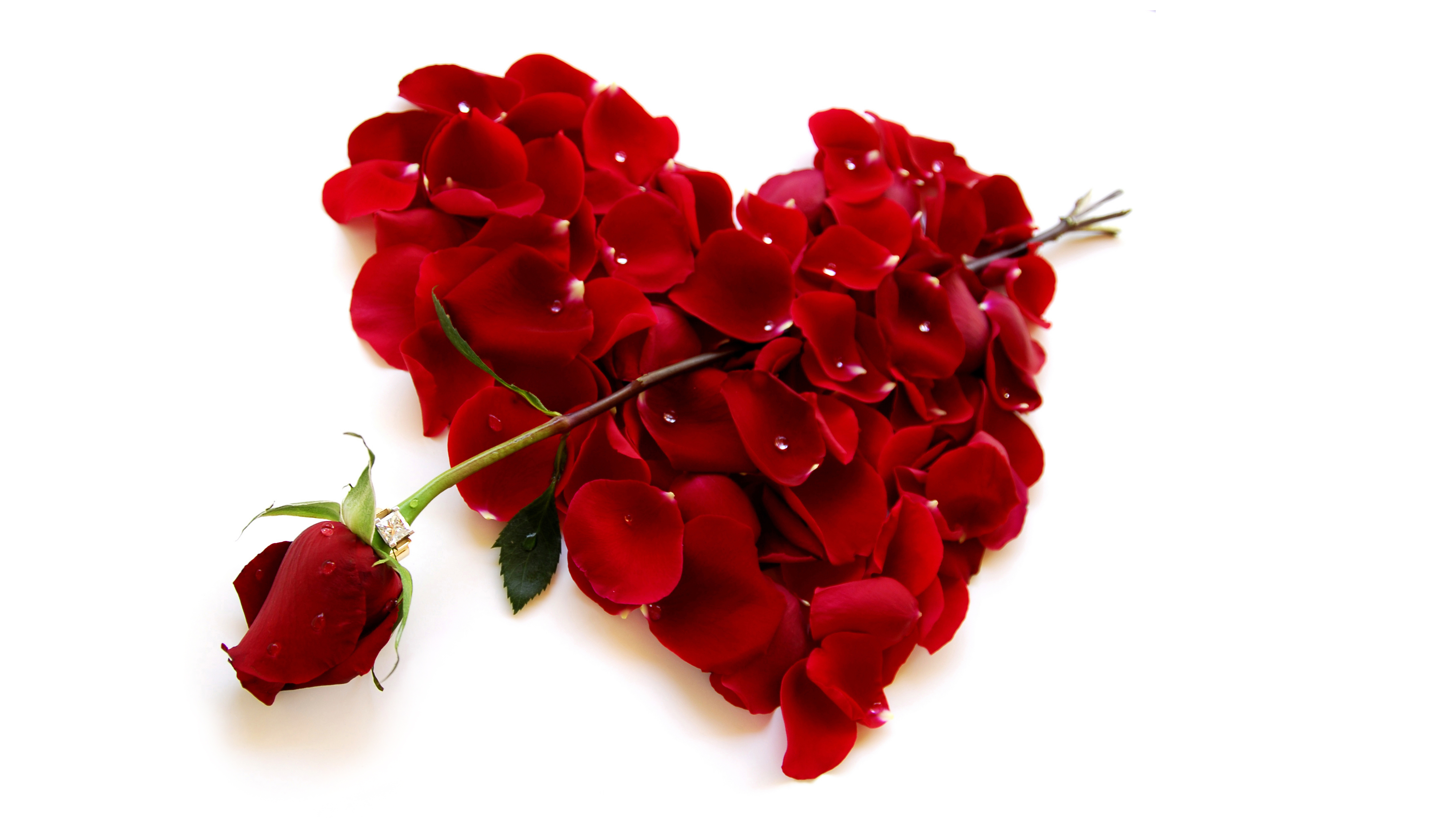 Download mobile wallpaper Heart, Artistic, Petal, Red Rose, Heart Shaped for free.