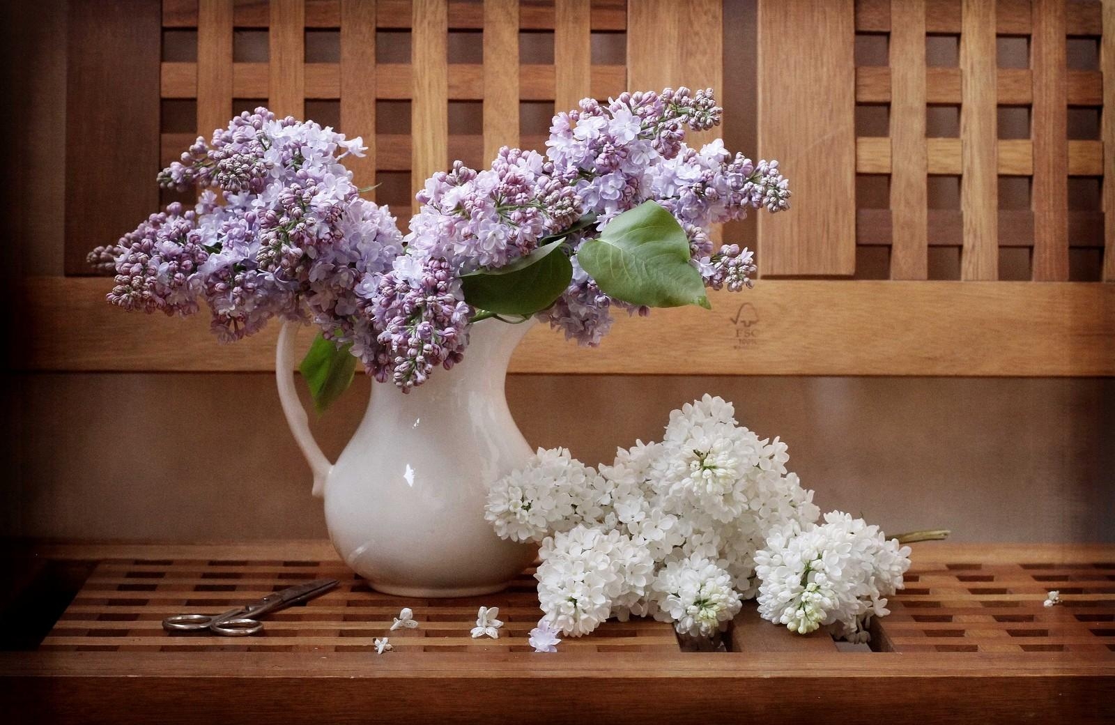 flowers, lilac, branches, jug, bench, scissors