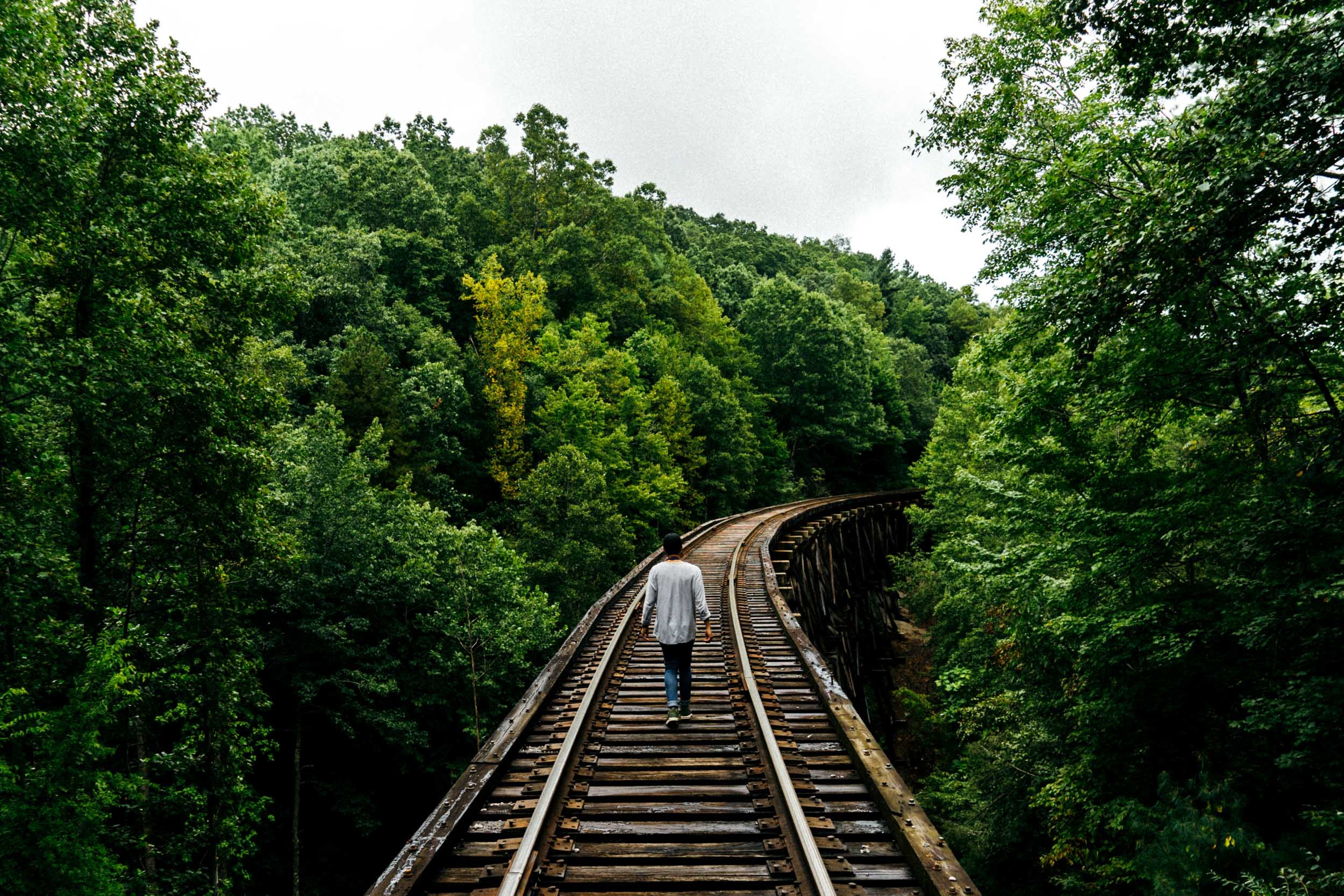 person, nature, trees, stroll, human, railway
