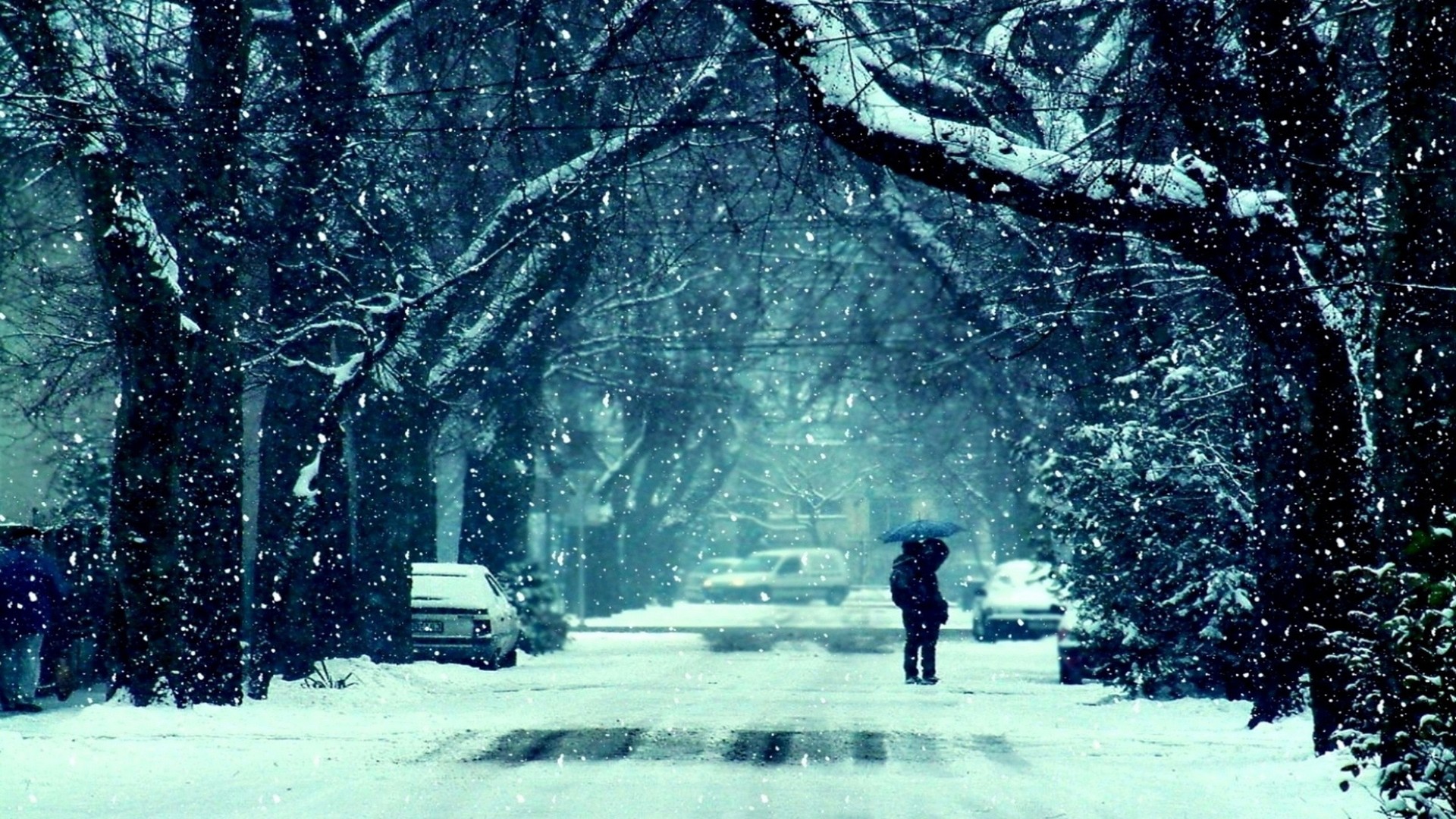 Laden Sie das Winter, Fotografie-Bild kostenlos auf Ihren PC-Desktop herunter