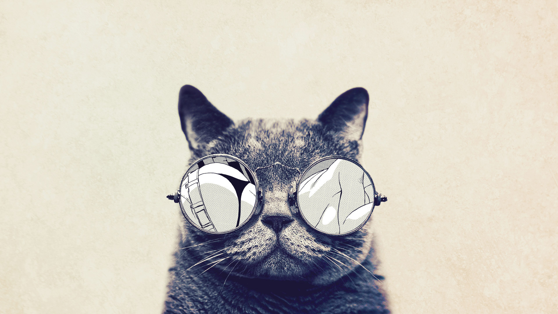 Download mobile wallpaper Cats, Cat, Glasses, Humor for free.