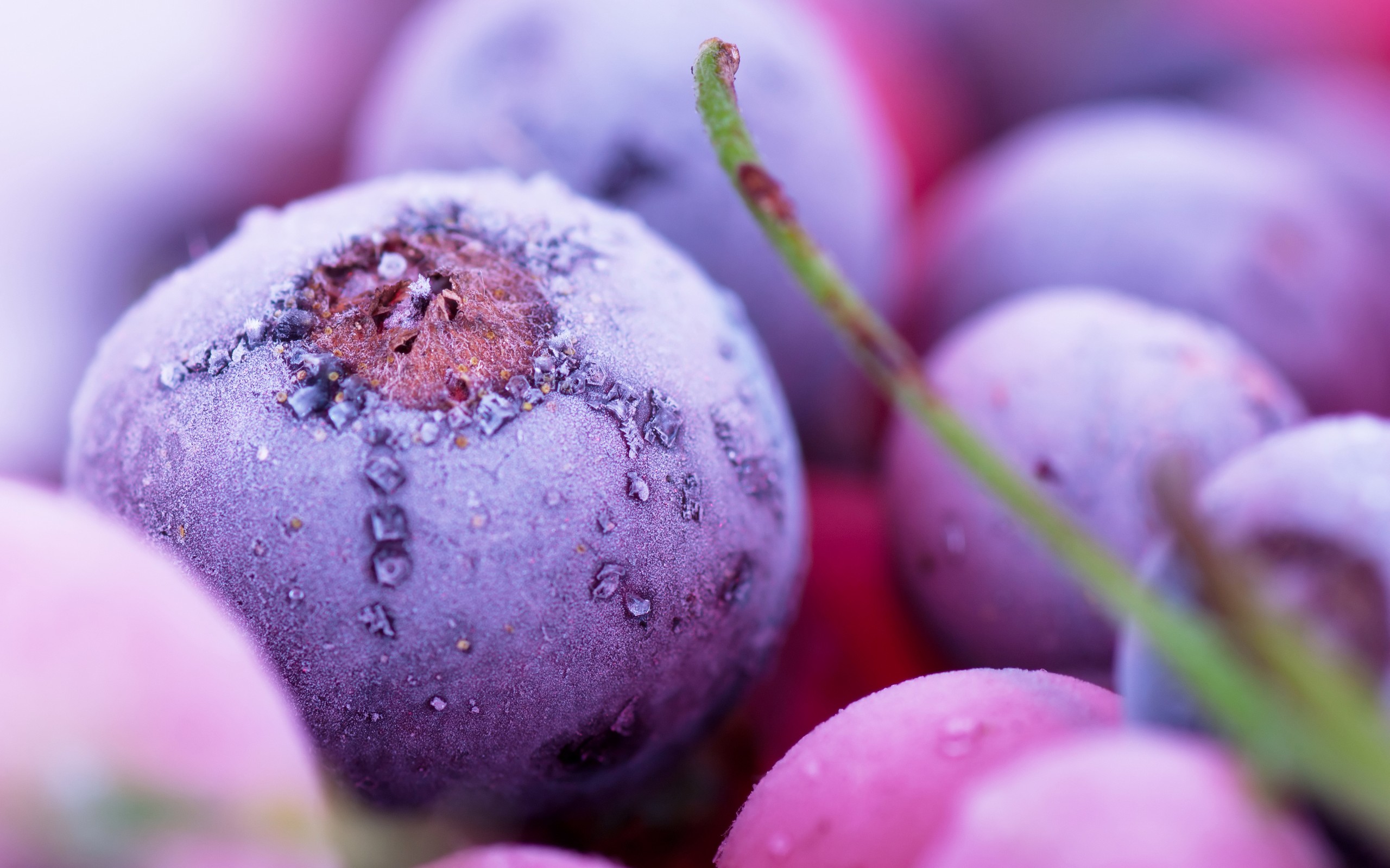 Laden Sie das Frucht, Nahrungsmittel-Bild kostenlos auf Ihren PC-Desktop herunter